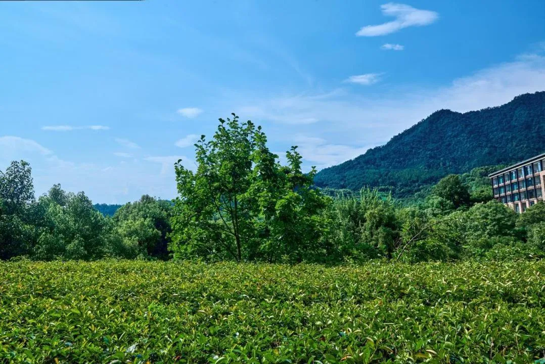 View (from property/room) in InterContinental One Thousand Island Lake Resort, an IHG Hotel