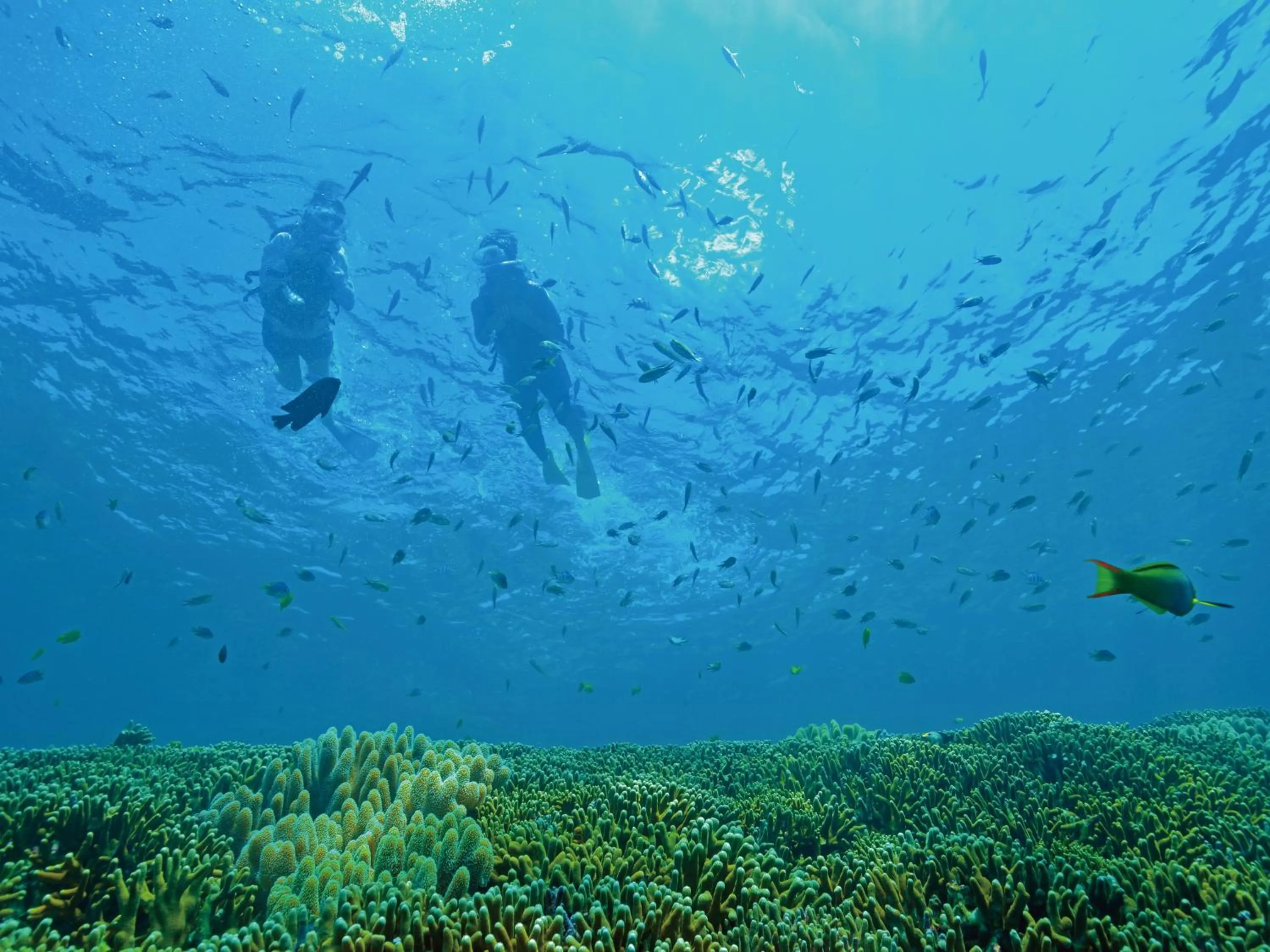 Snorkeling in Okuma Private Beach & Resort