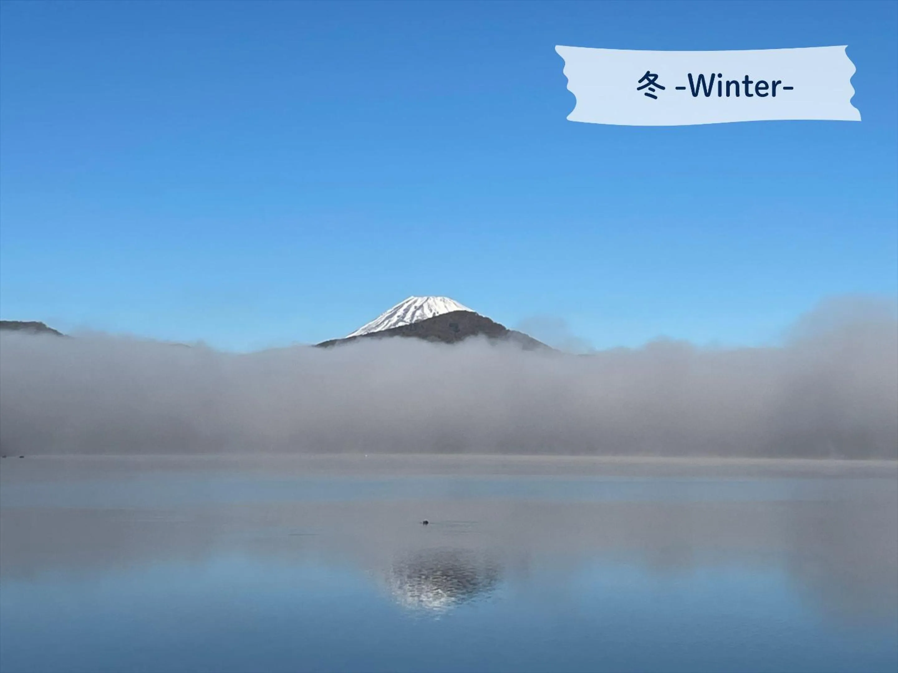 View (from property/room) in Hakone Hotel