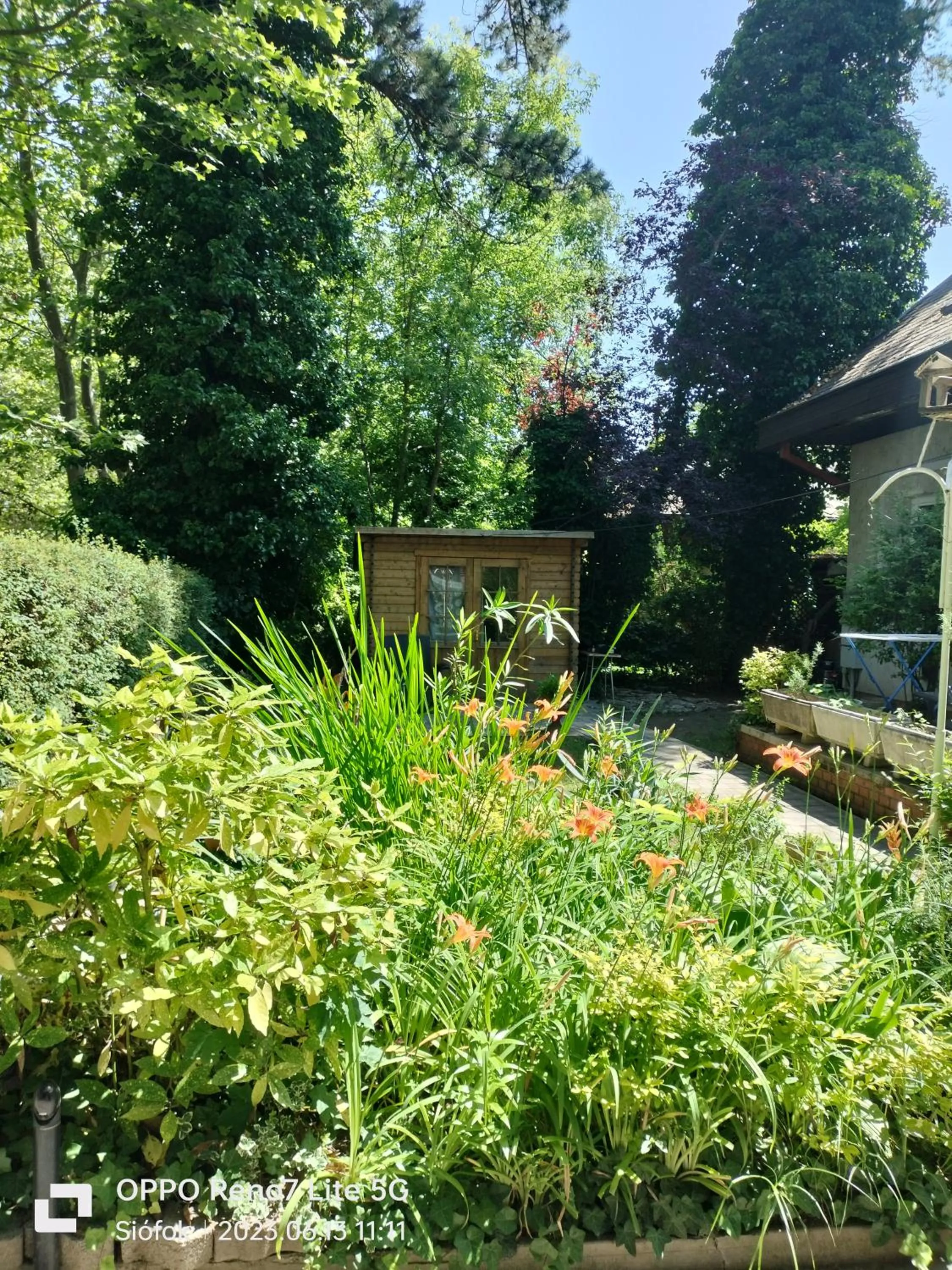 Balassa House