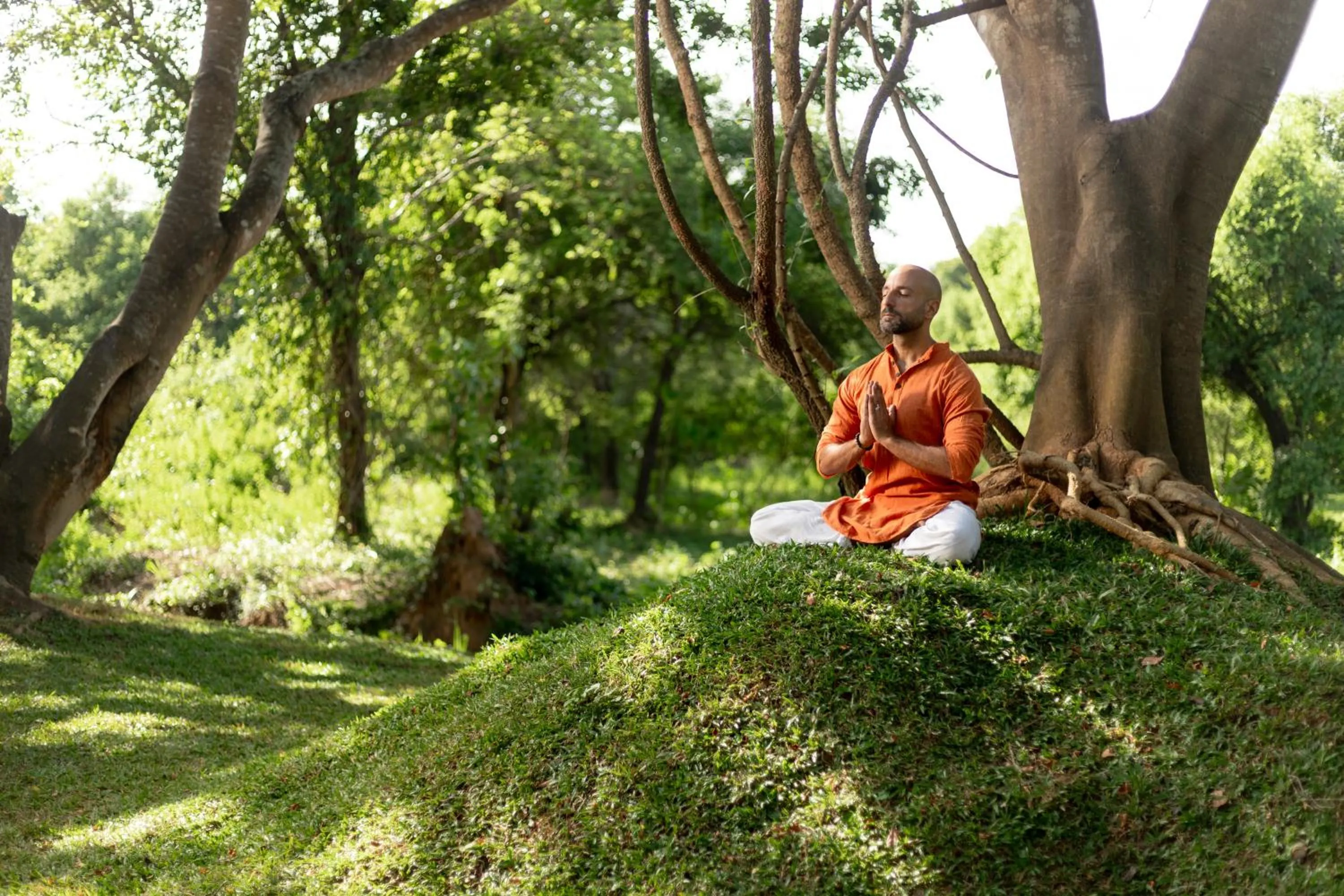 Natural landscape in Ayugiri Ayurveda Wellness Resort Sigiriya