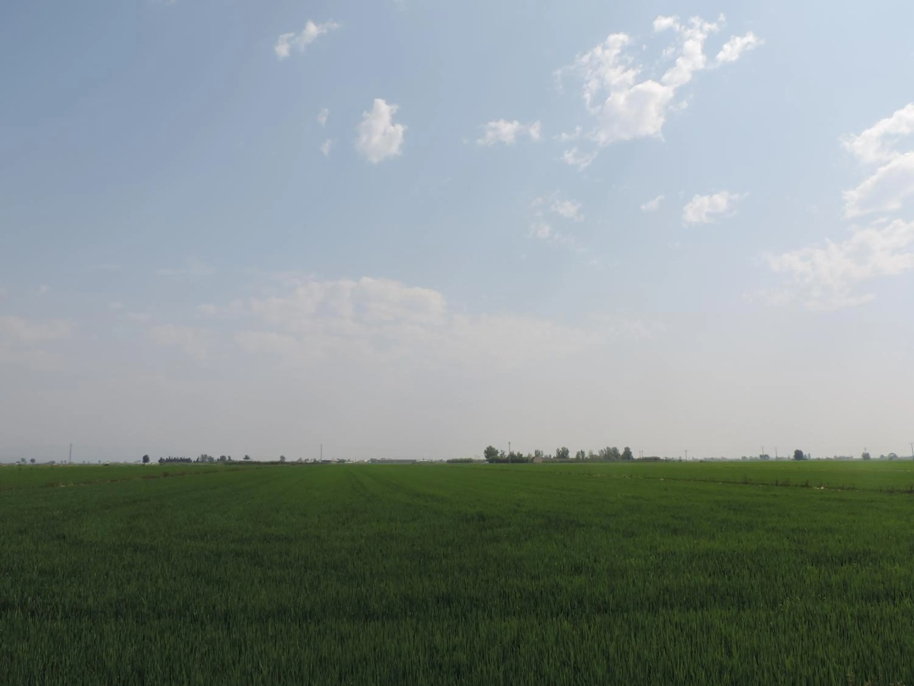 Natural landscape in Hotel Mas Prades