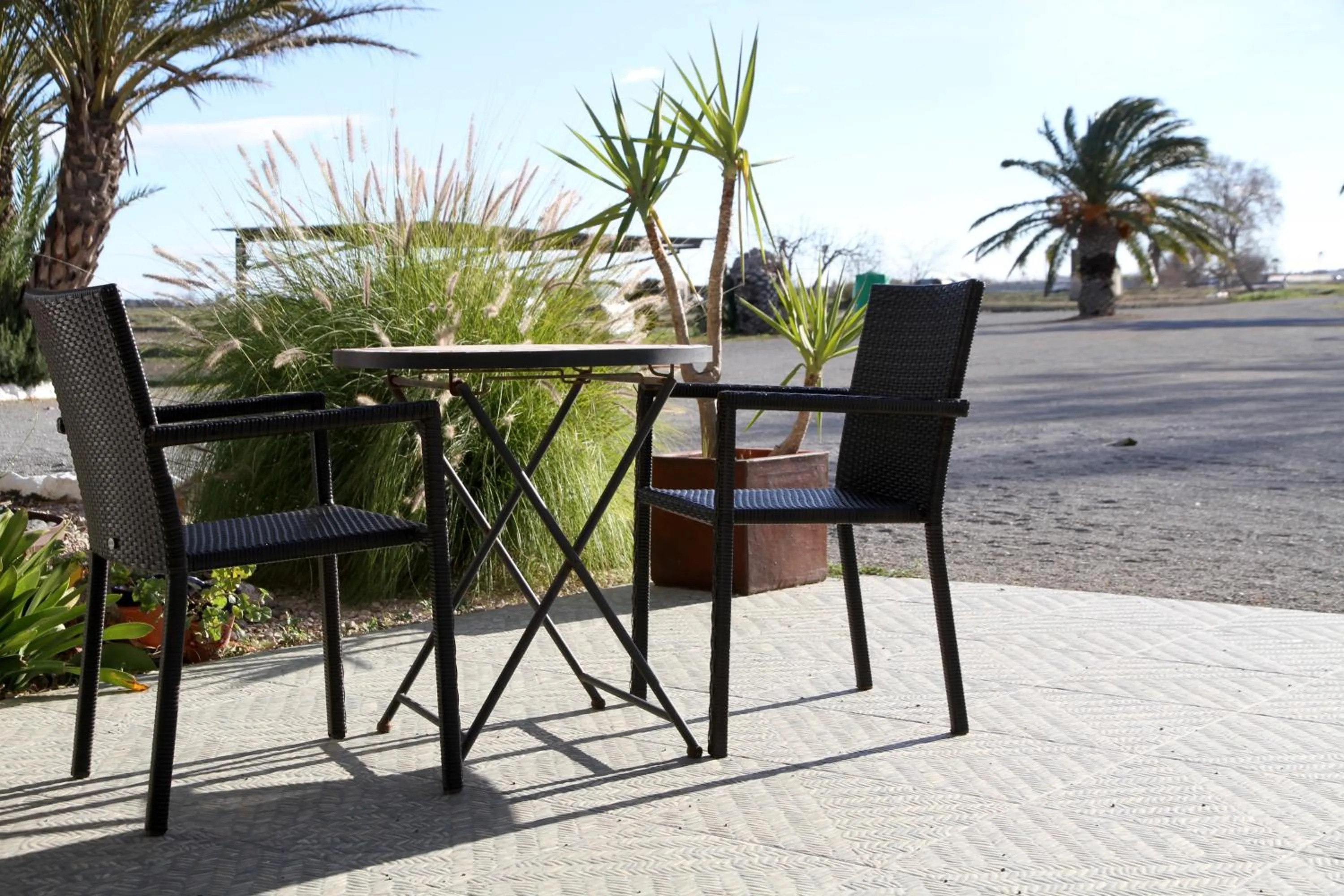 Balcony/Terrace in Hotel Mas Prades