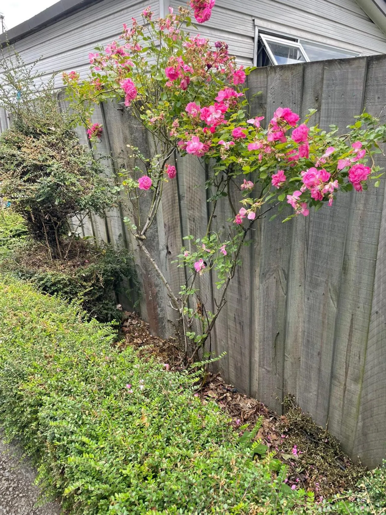 Day in Alpha Motel with Spa-Bath