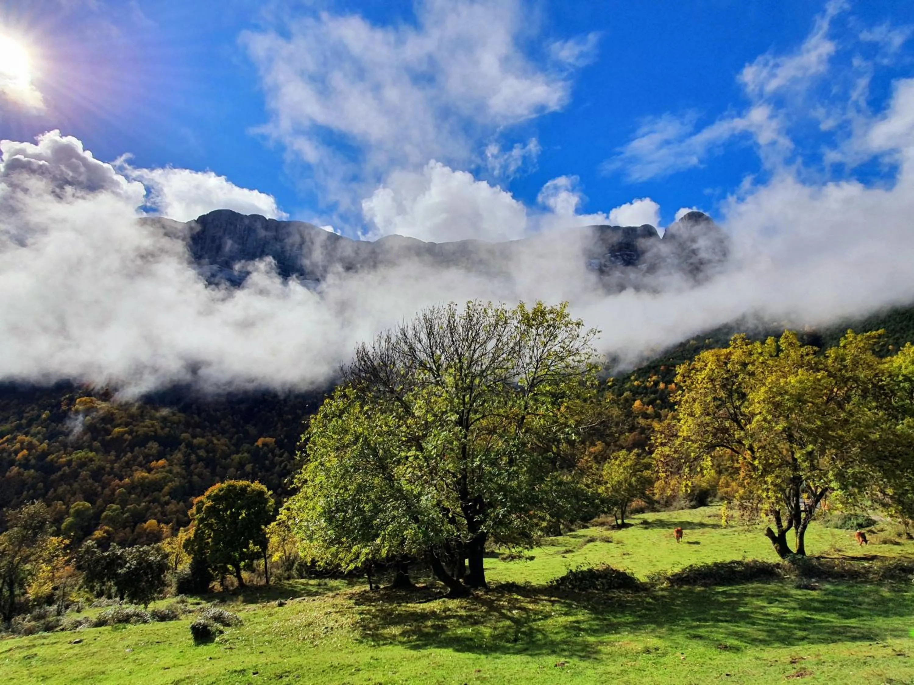 Nearby landmark in Boutique Hotel Tierra Buxo - Adults Only