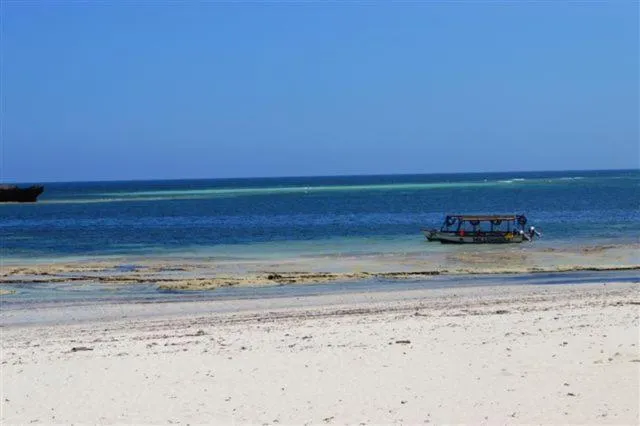 Beach in Turtle Bay Beach Club- All Inclusive