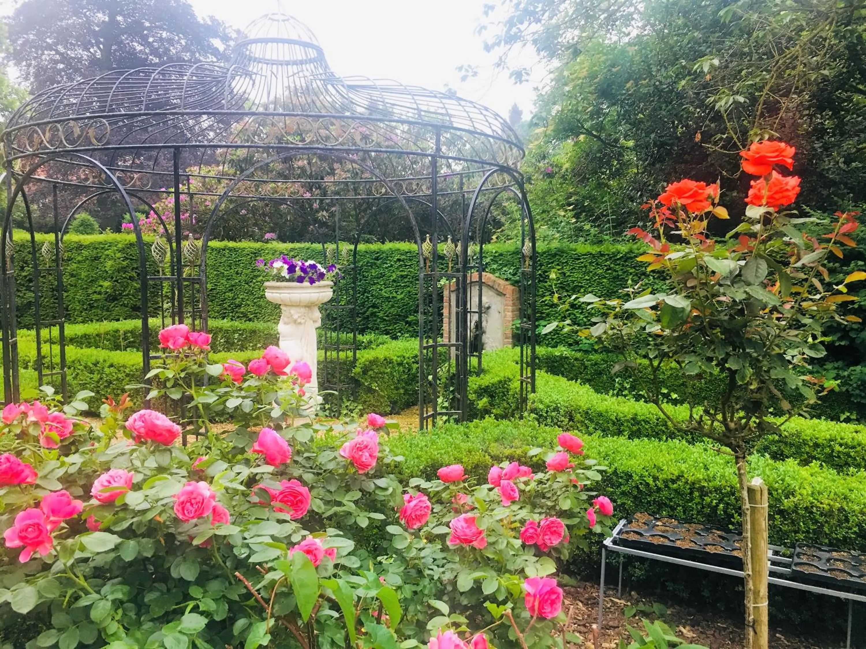 Garden in Koetshuis Bosdam