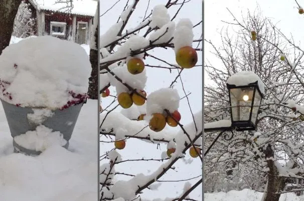 Other in Johanssons Gårdshotell i Roslagen