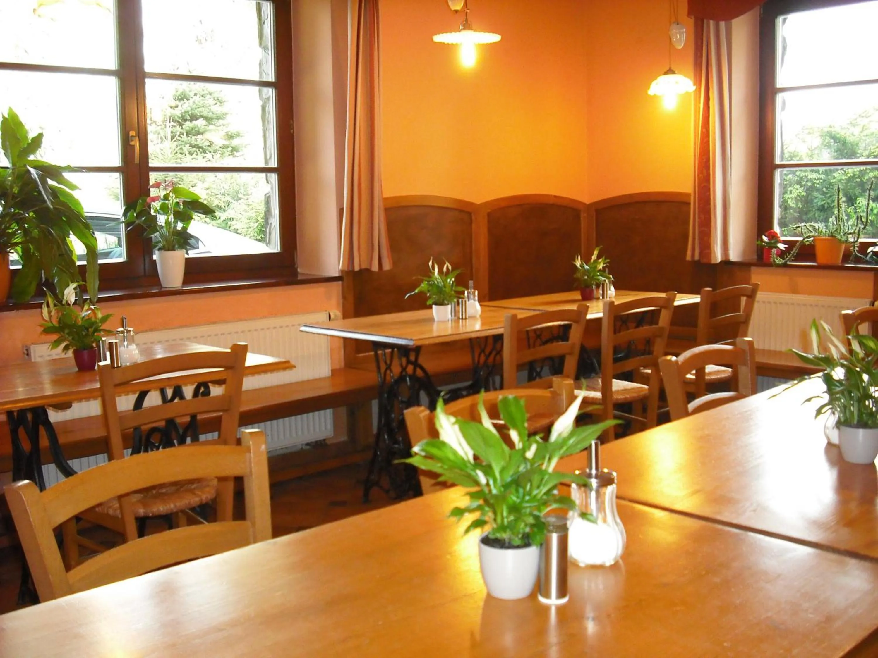 Skiing in Sport hotel POMI