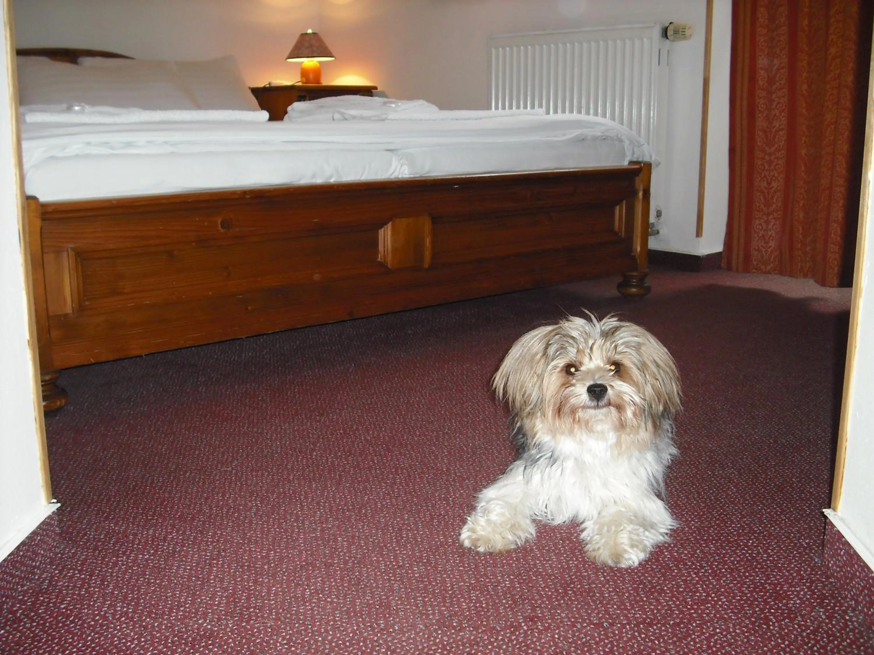 Skiing in Sport hotel POMI