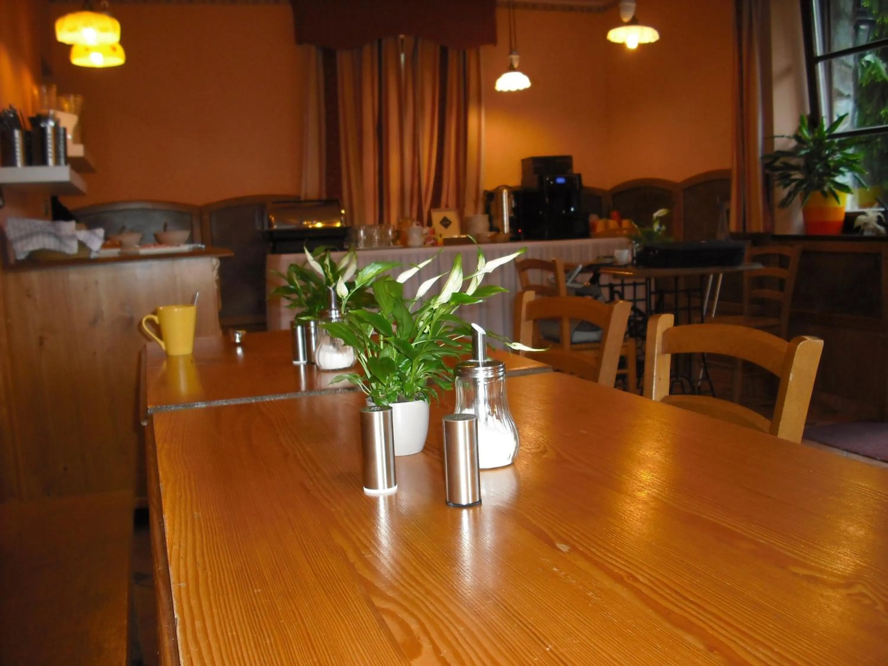 Skiing in Sport hotel POMI