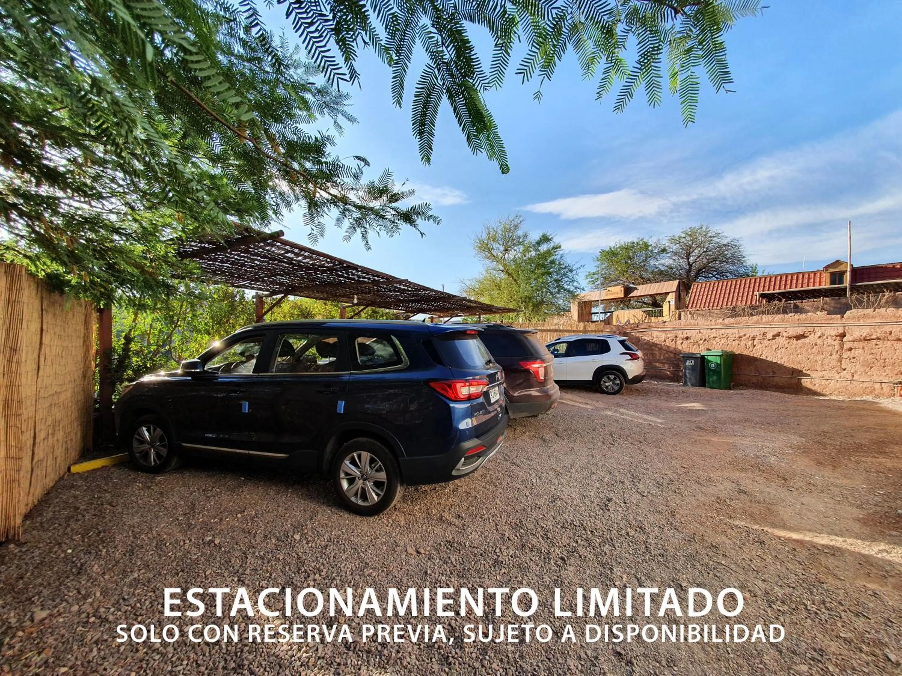 Area and facilities in Hotel Jardin Atacama
