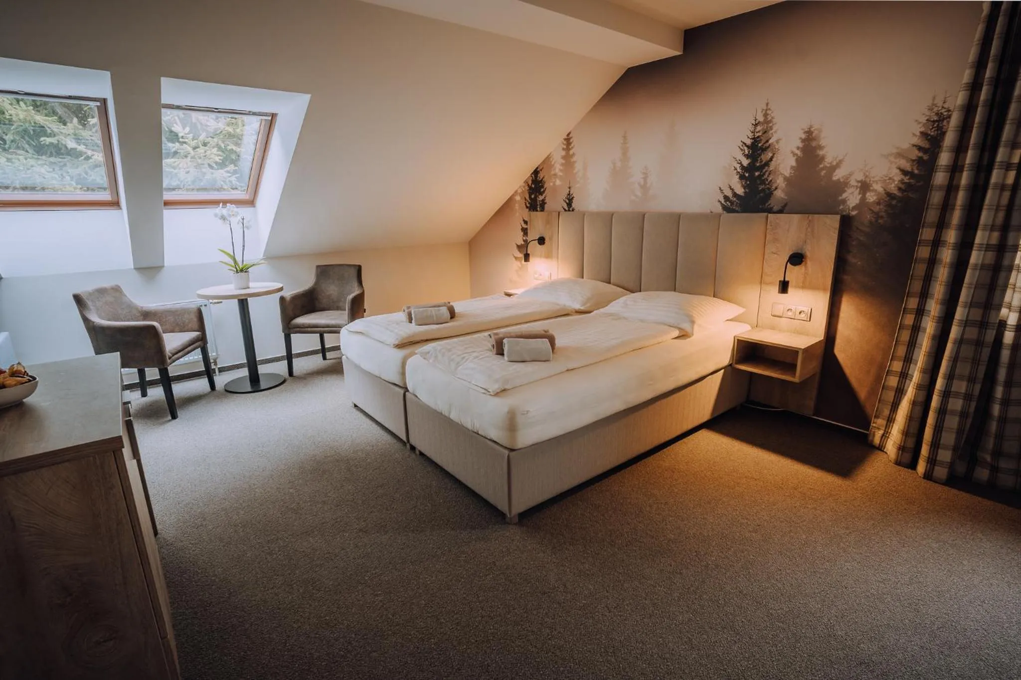 Bed in Pod Slamníkem