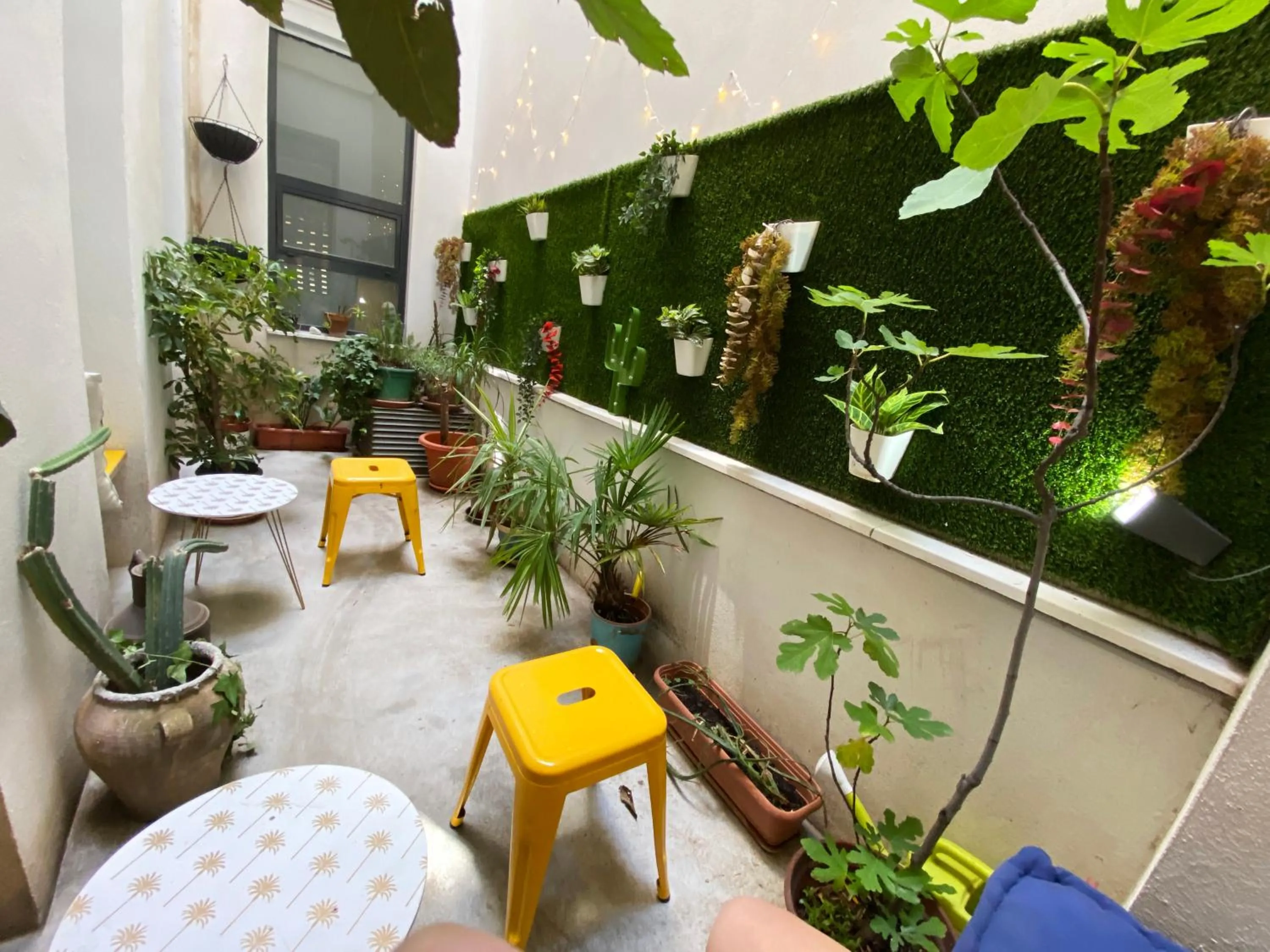 Area and facilities in ECO Hostel