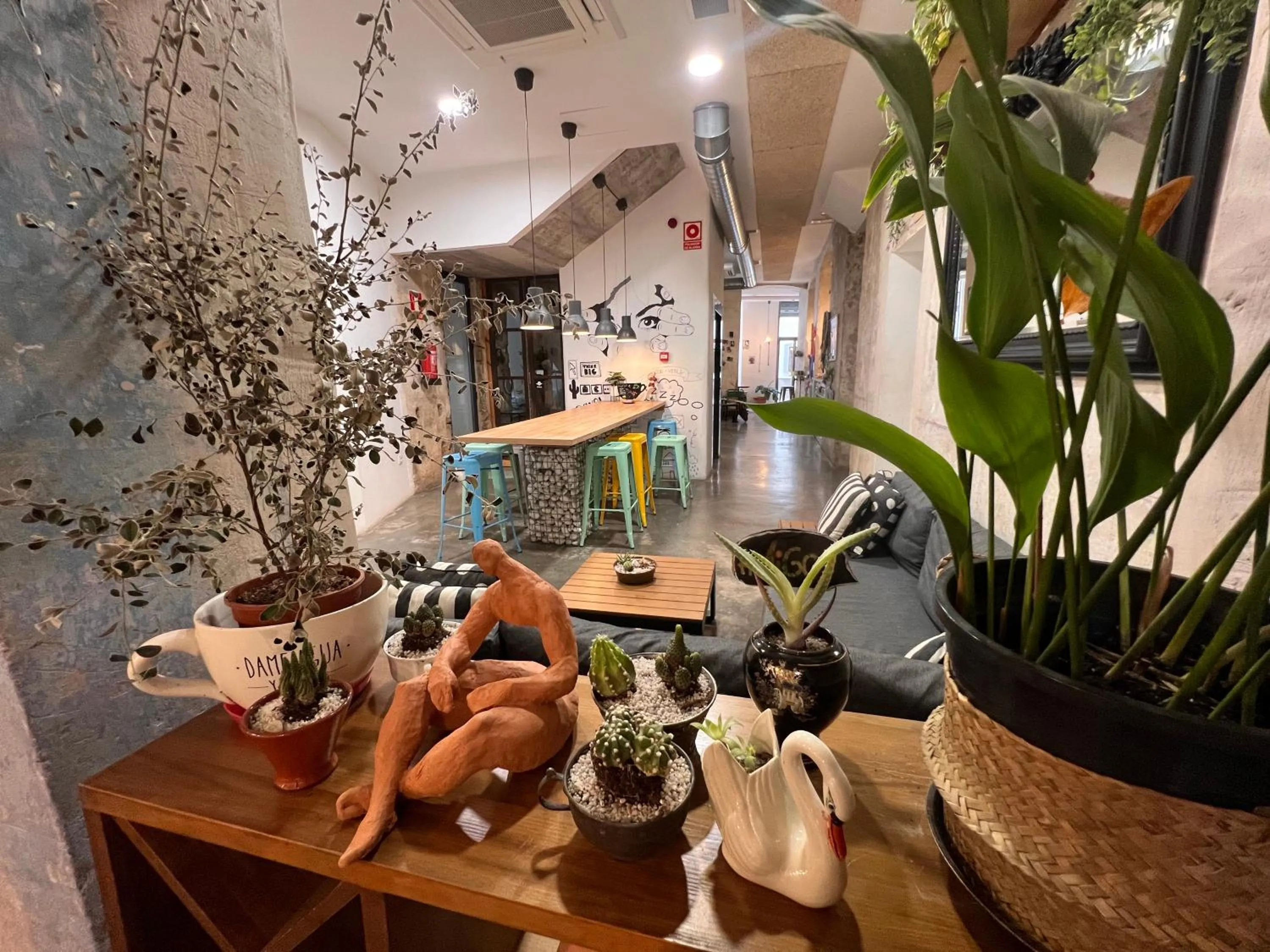 Restaurant/places to eat in ECO Hostel