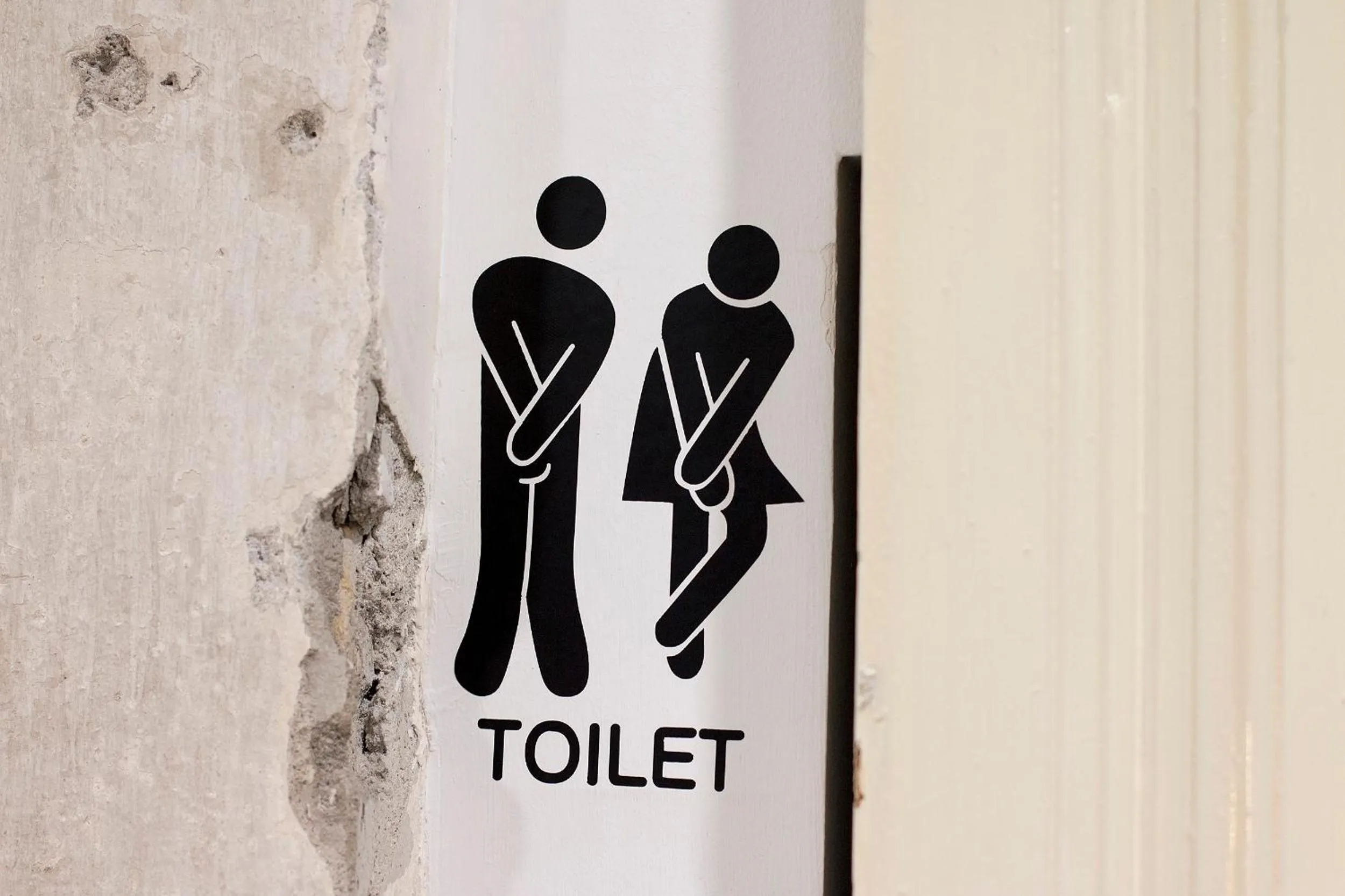 Logo/Certificate/Sign in ECO Hostel