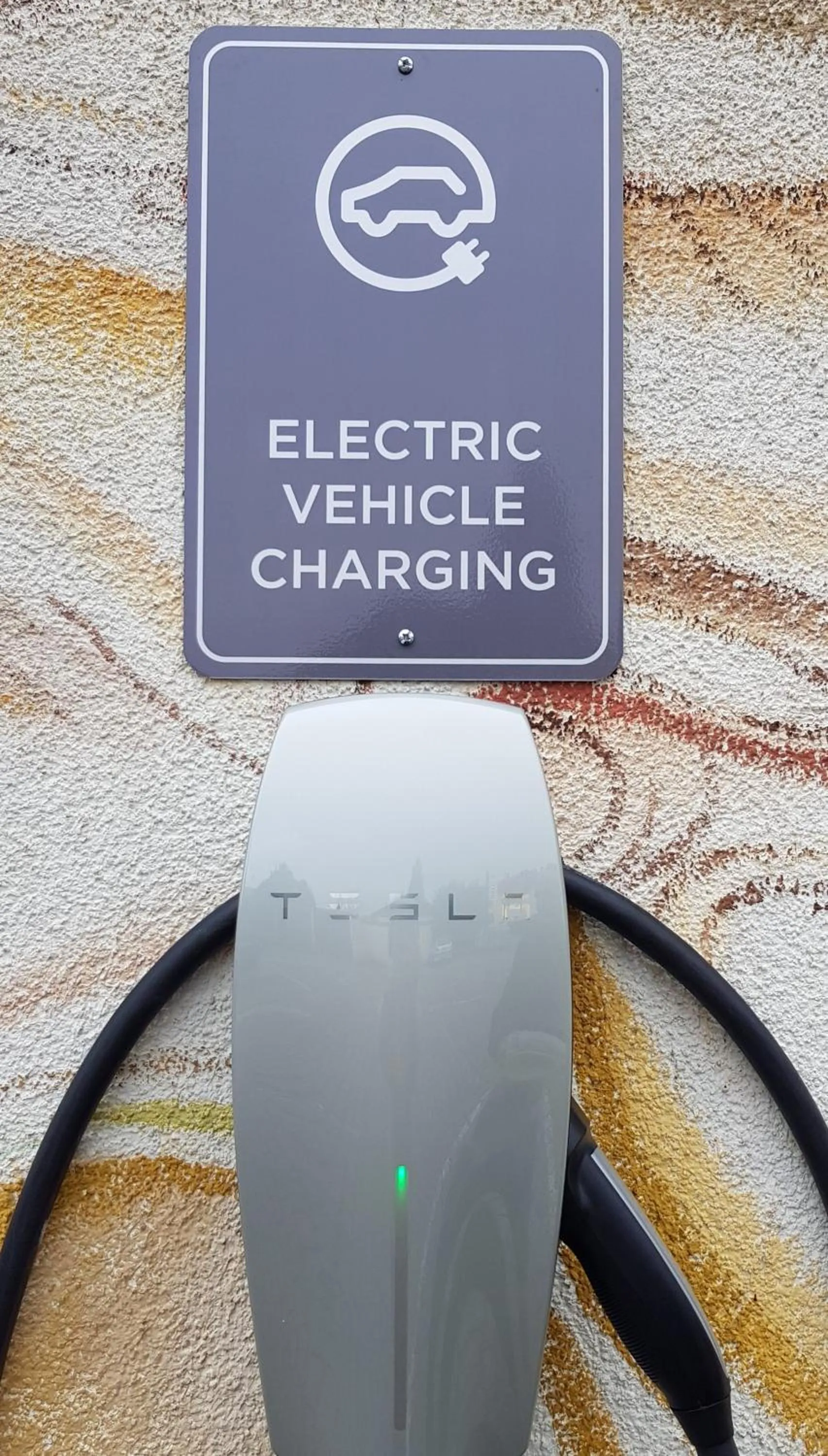 Area and facilities in Hotel Angelo