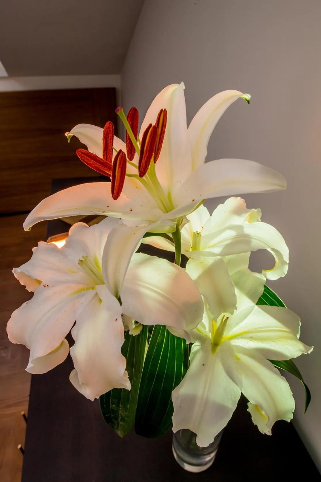 Decorative detail in Hotel Boutique Loriente