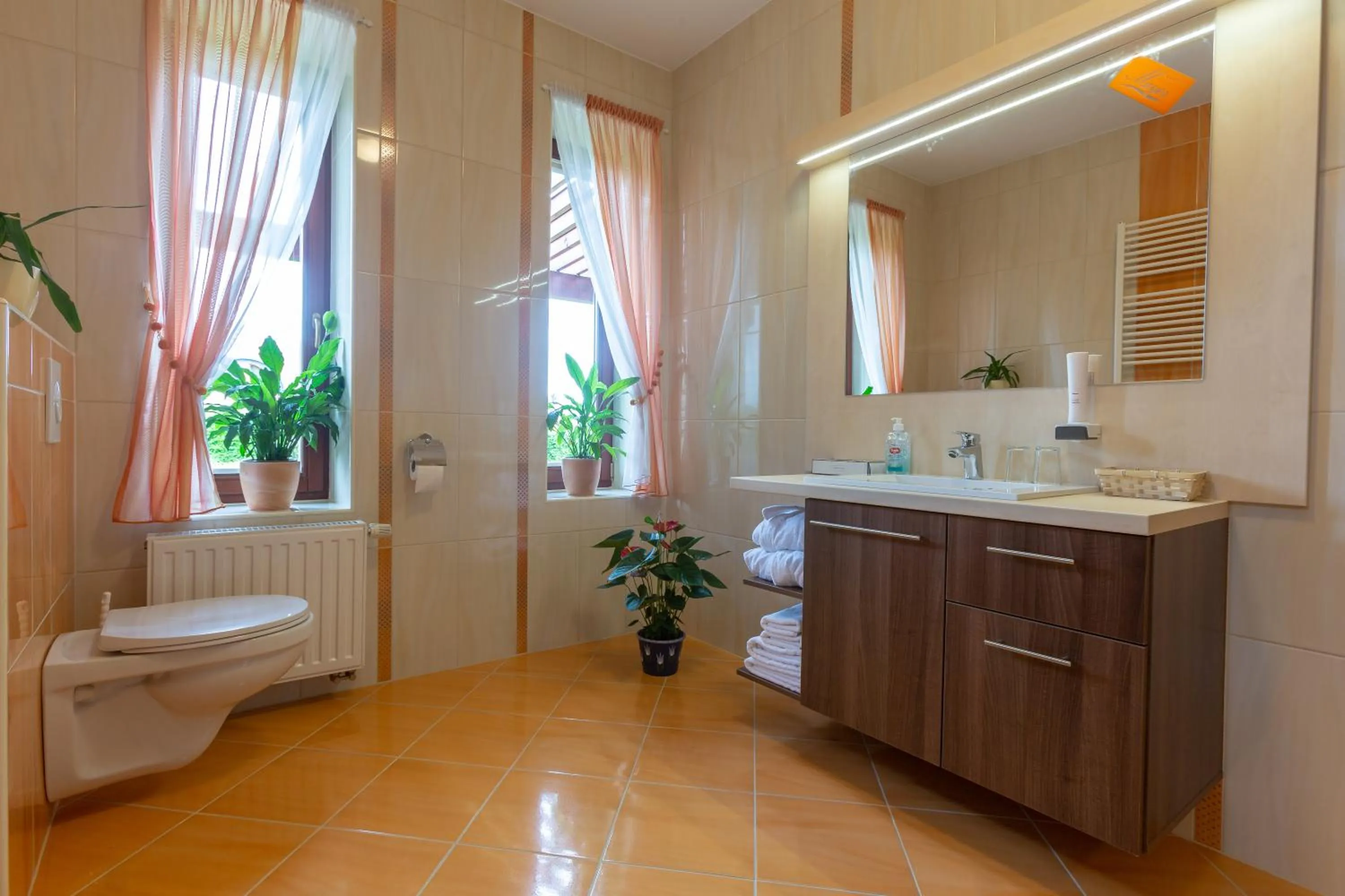 Bathroom in Hotel Mayer Alsóörs