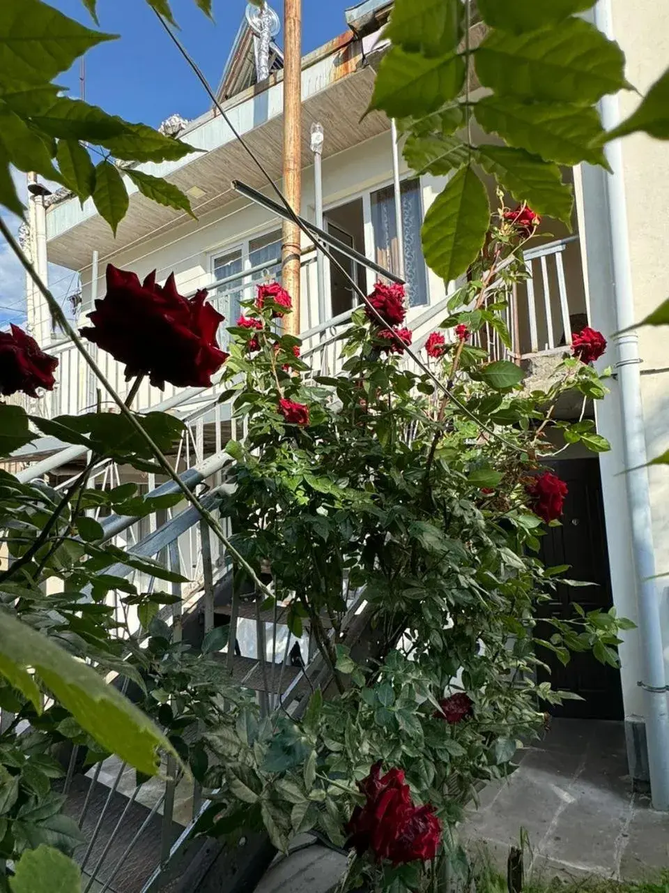 Center Center