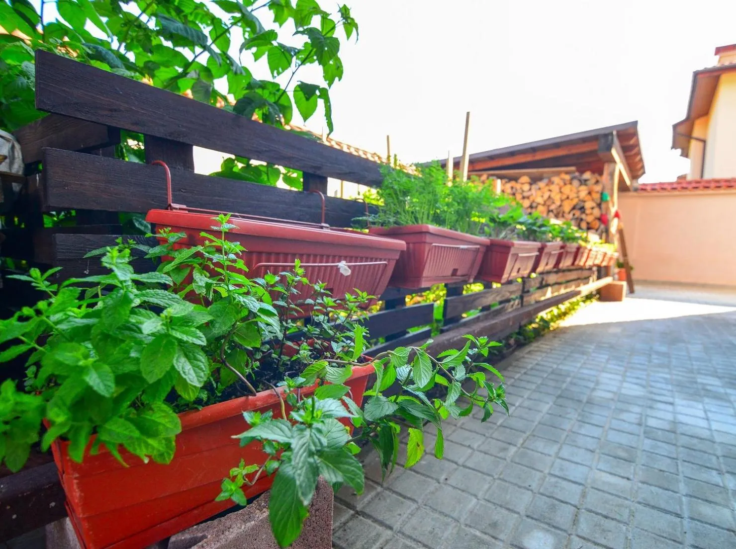 Garden in KATERINA guest house