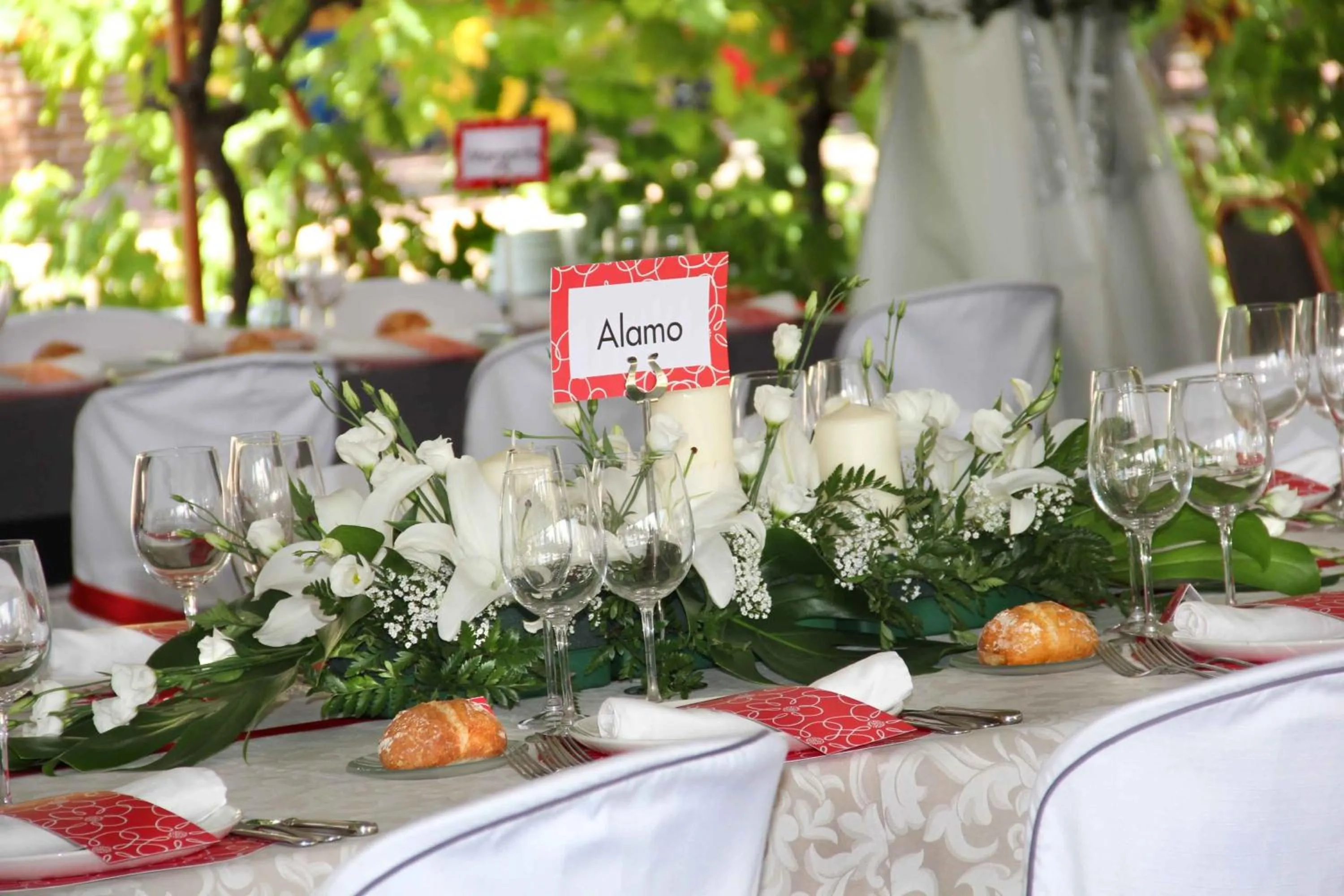 Area and facilities in Hotel Virrey