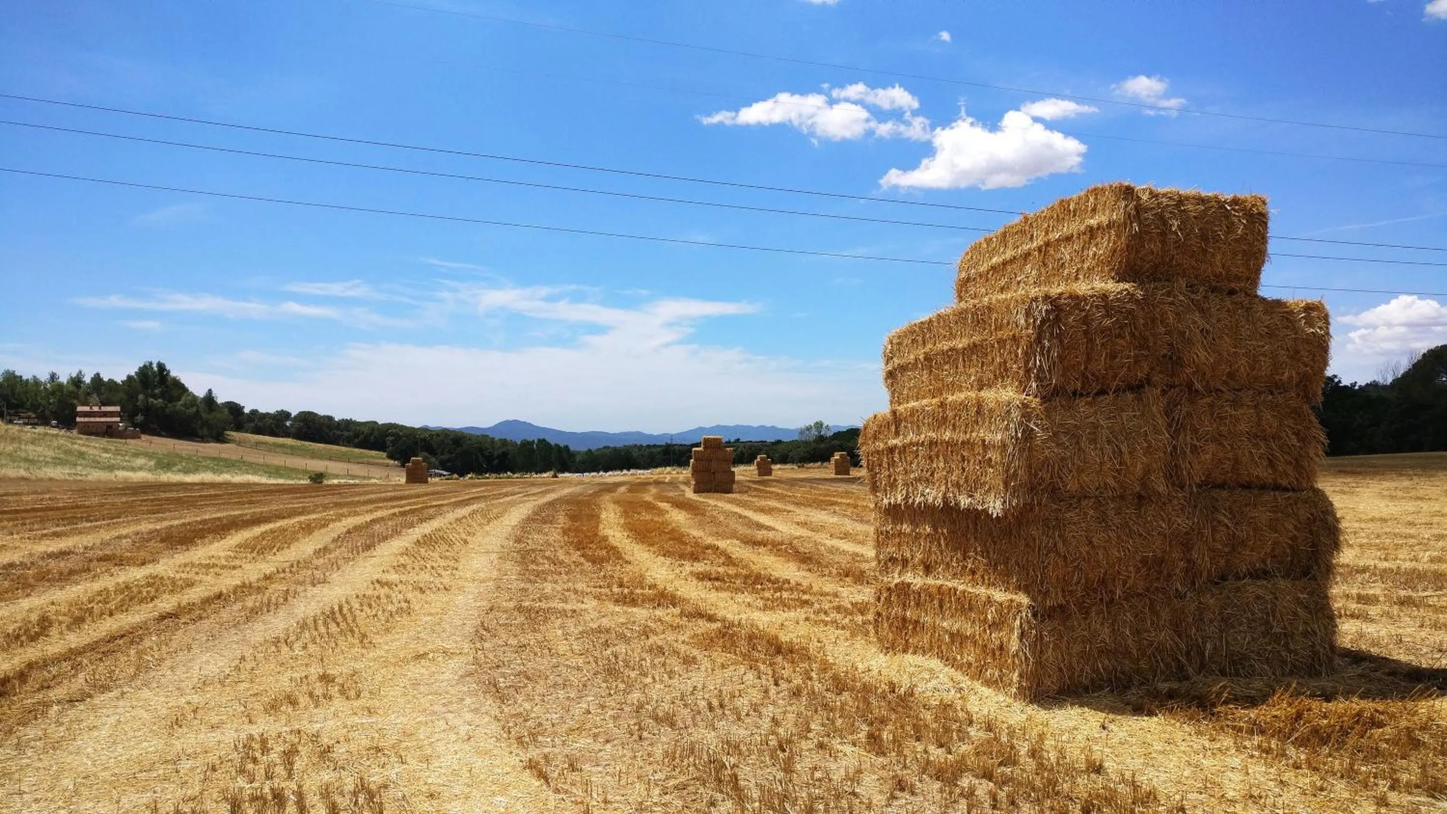 Neighbourhood in Masia Can Bachs