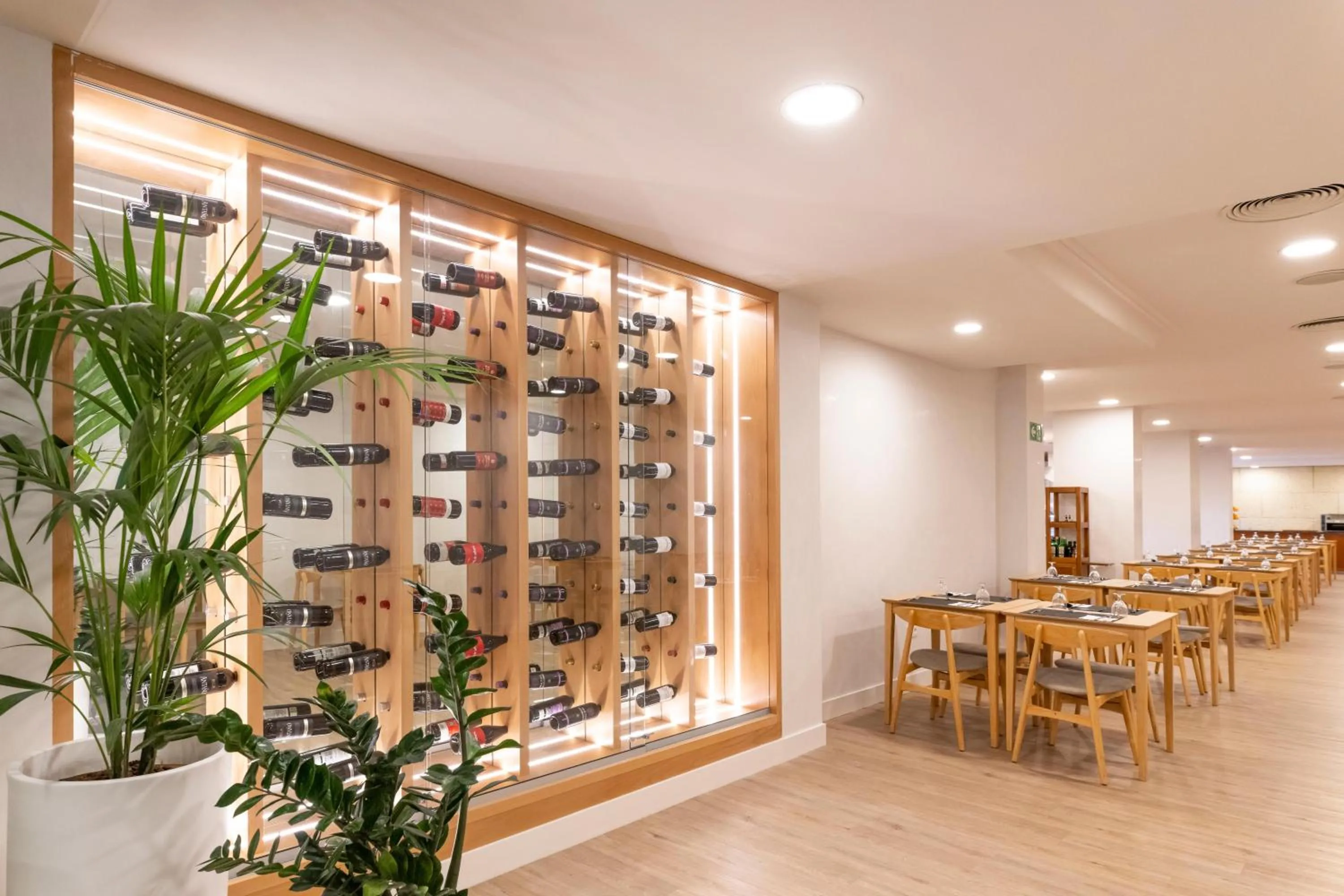 Restaurant/places to eat in GF Noelia