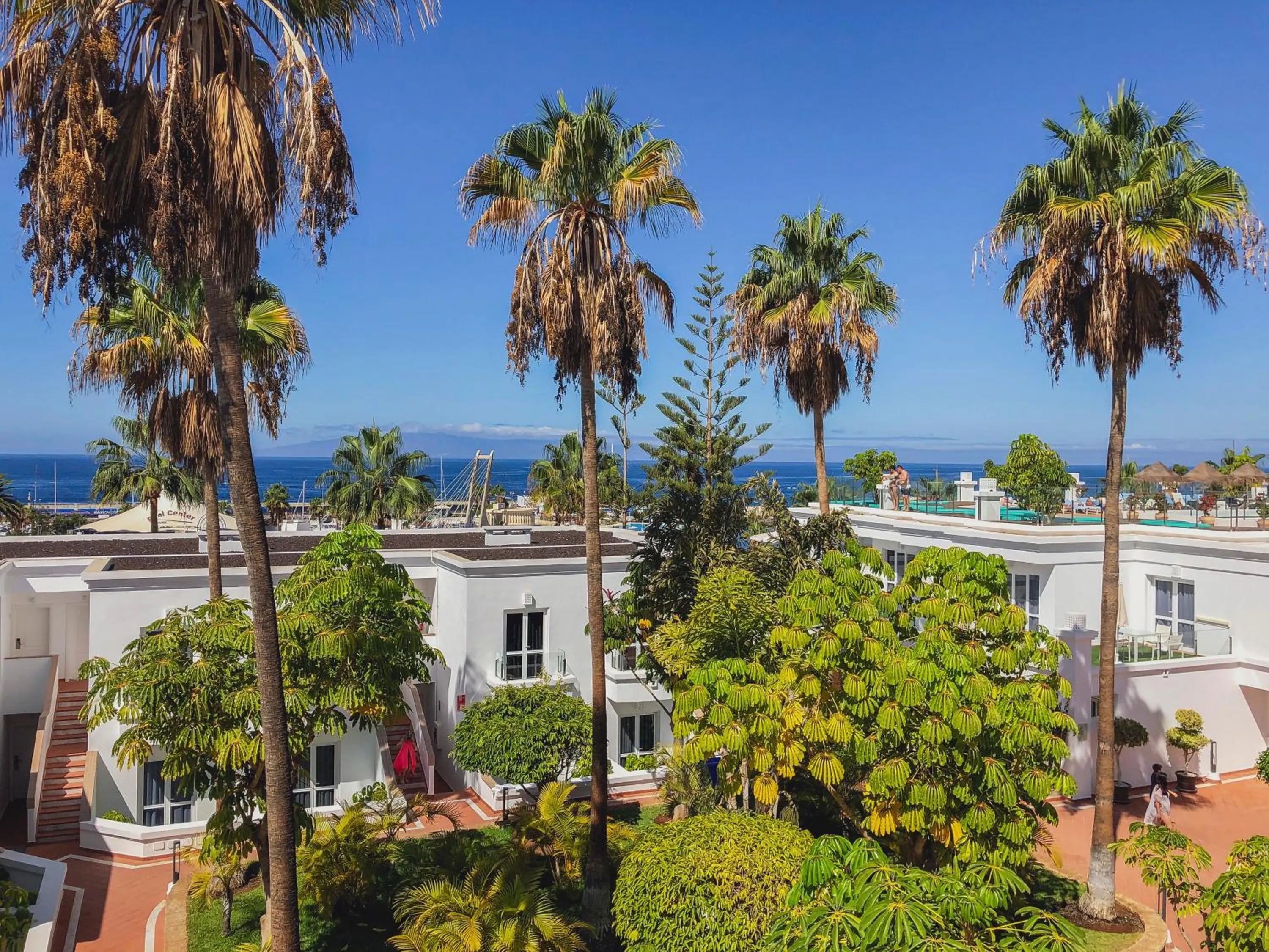 Garden in Flamingo Beach Mate