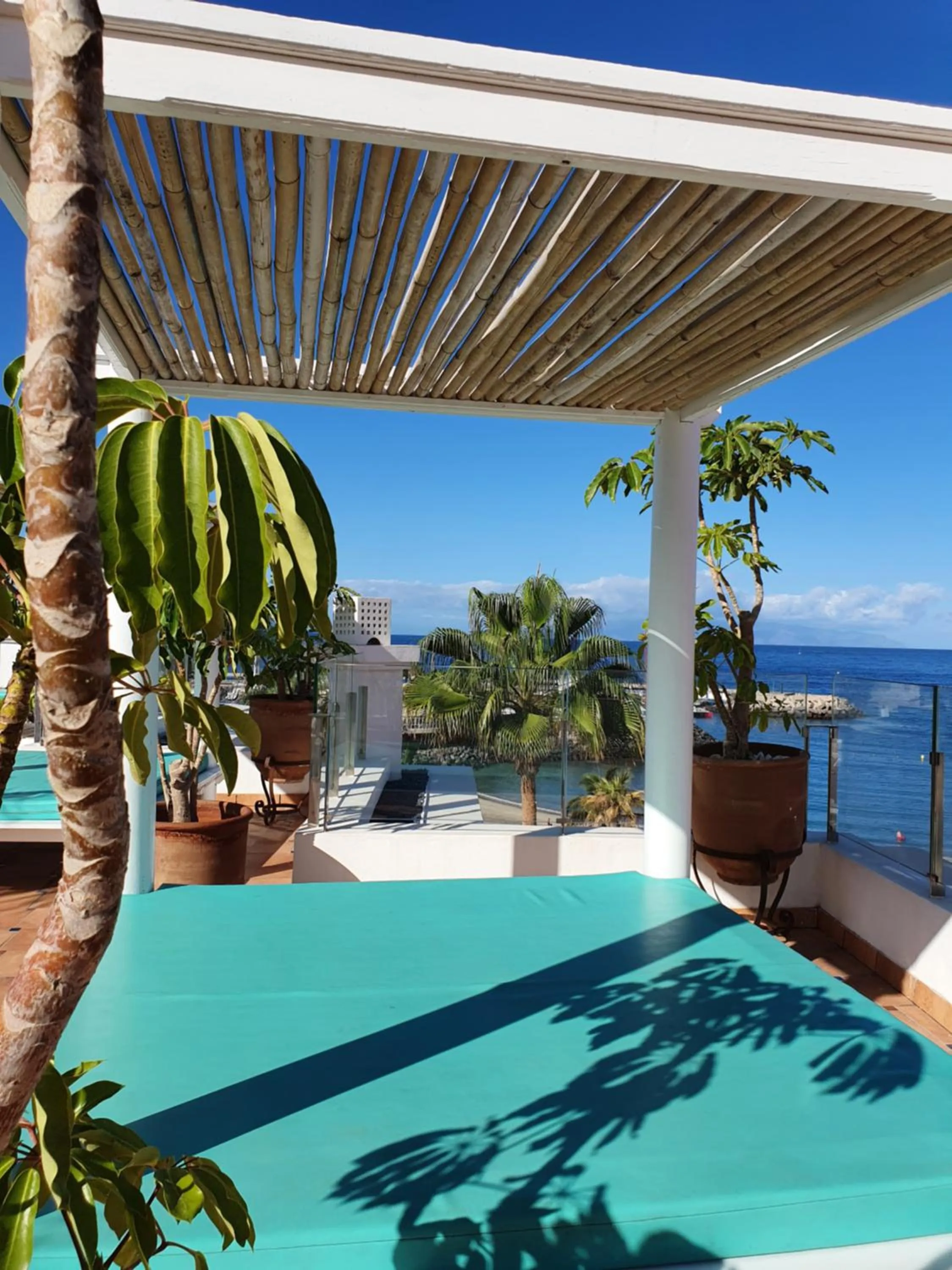 Balcony/Terrace in Flamingo Beach Mate