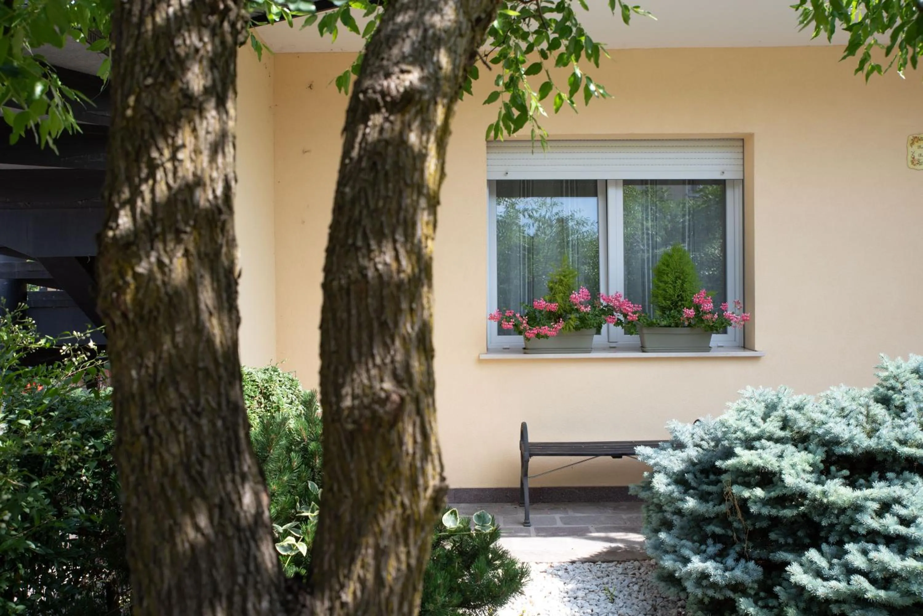 Facade/entrance in B&B BrentaGiardino