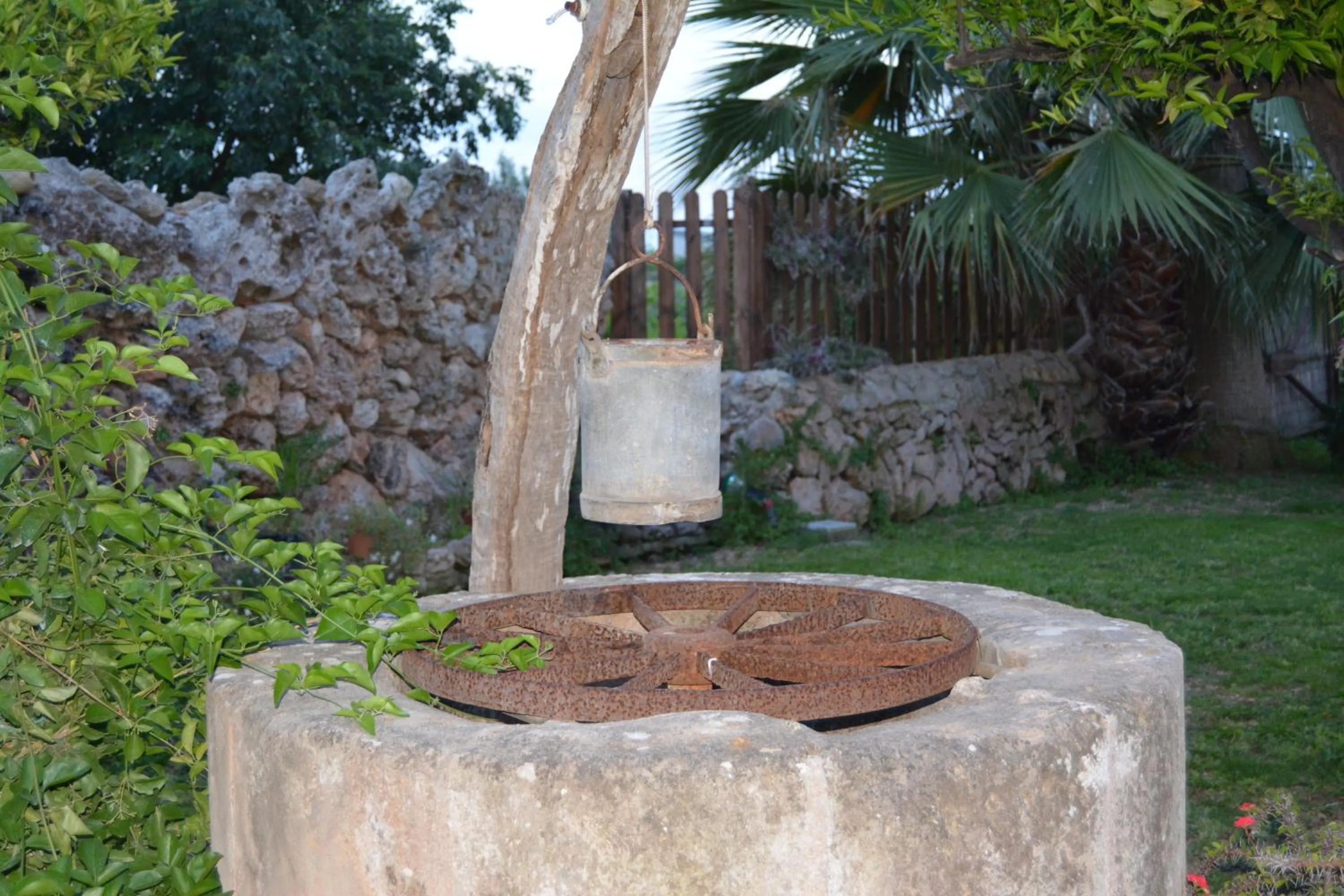 Garden view in Agroturismo Finca Son Amora