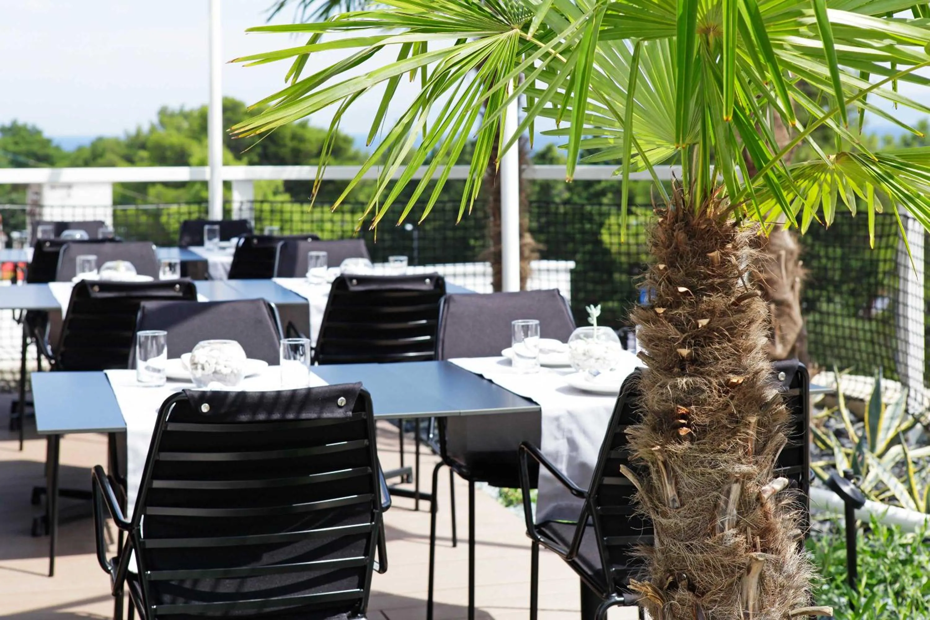 Restaurant/places to eat in Lifestyle Hotel Vitar - Adults Only