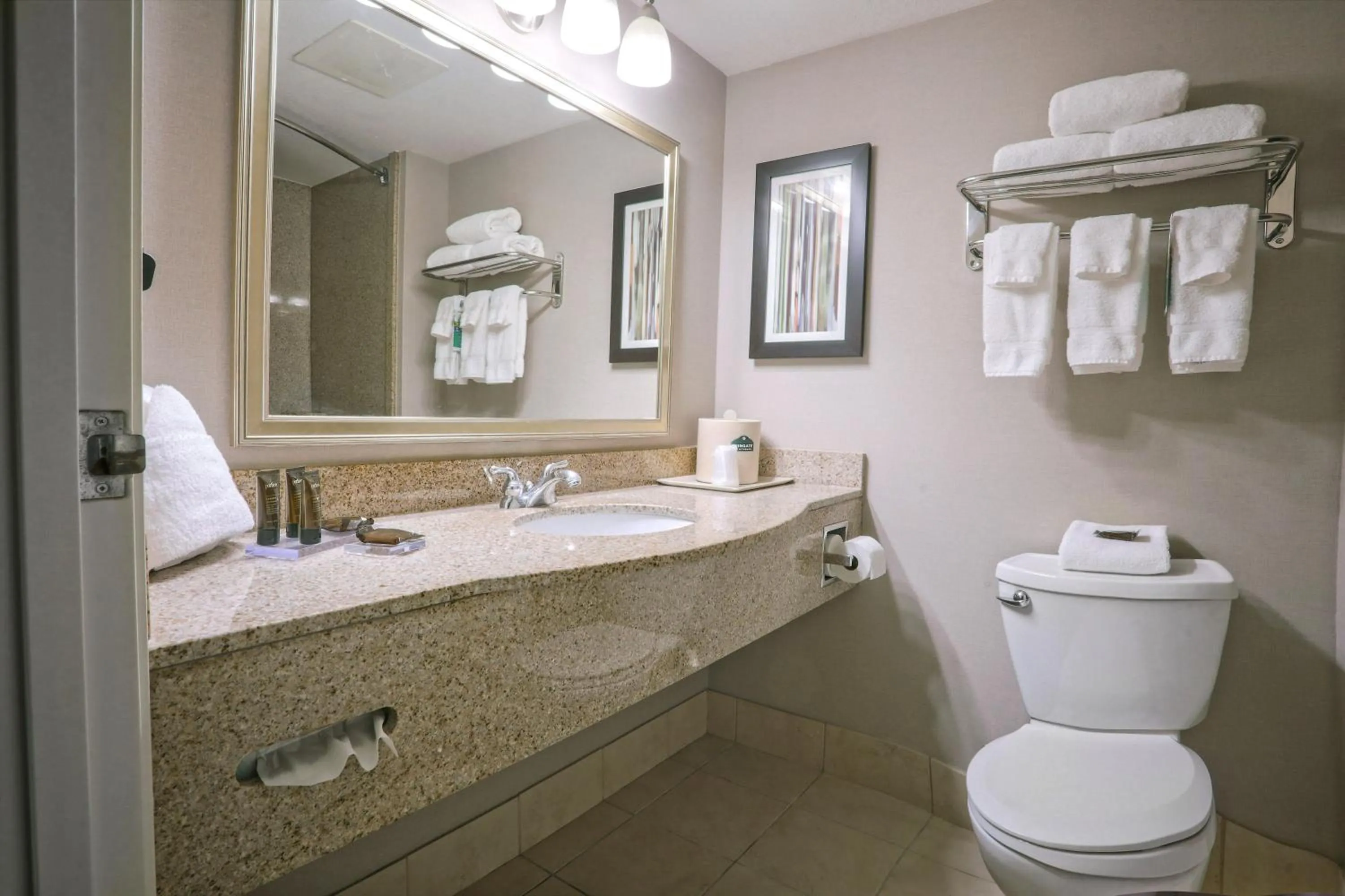 Bathroom in Wingate by Wyndham Savannah Pooler