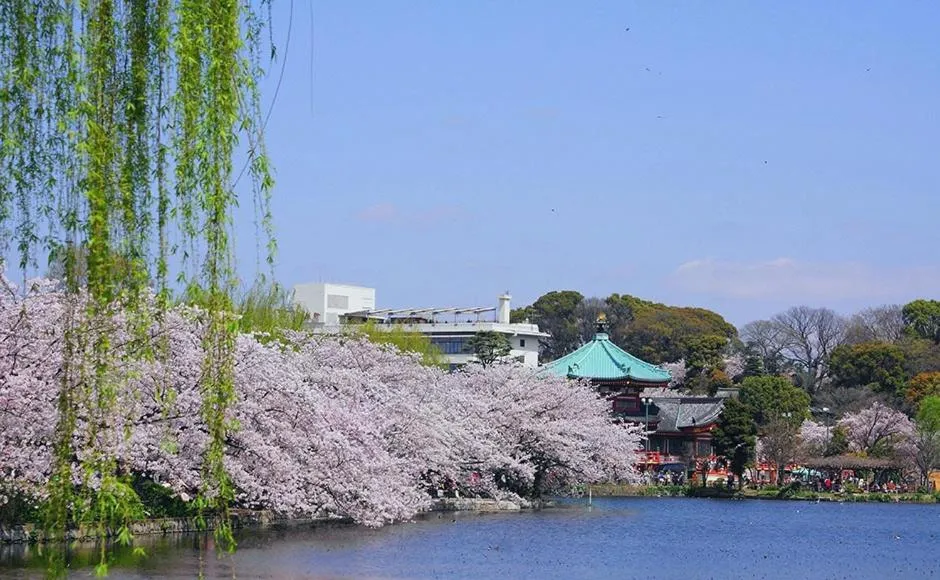 Nearby landmark in HOTEL MYSTAYS Ueno East