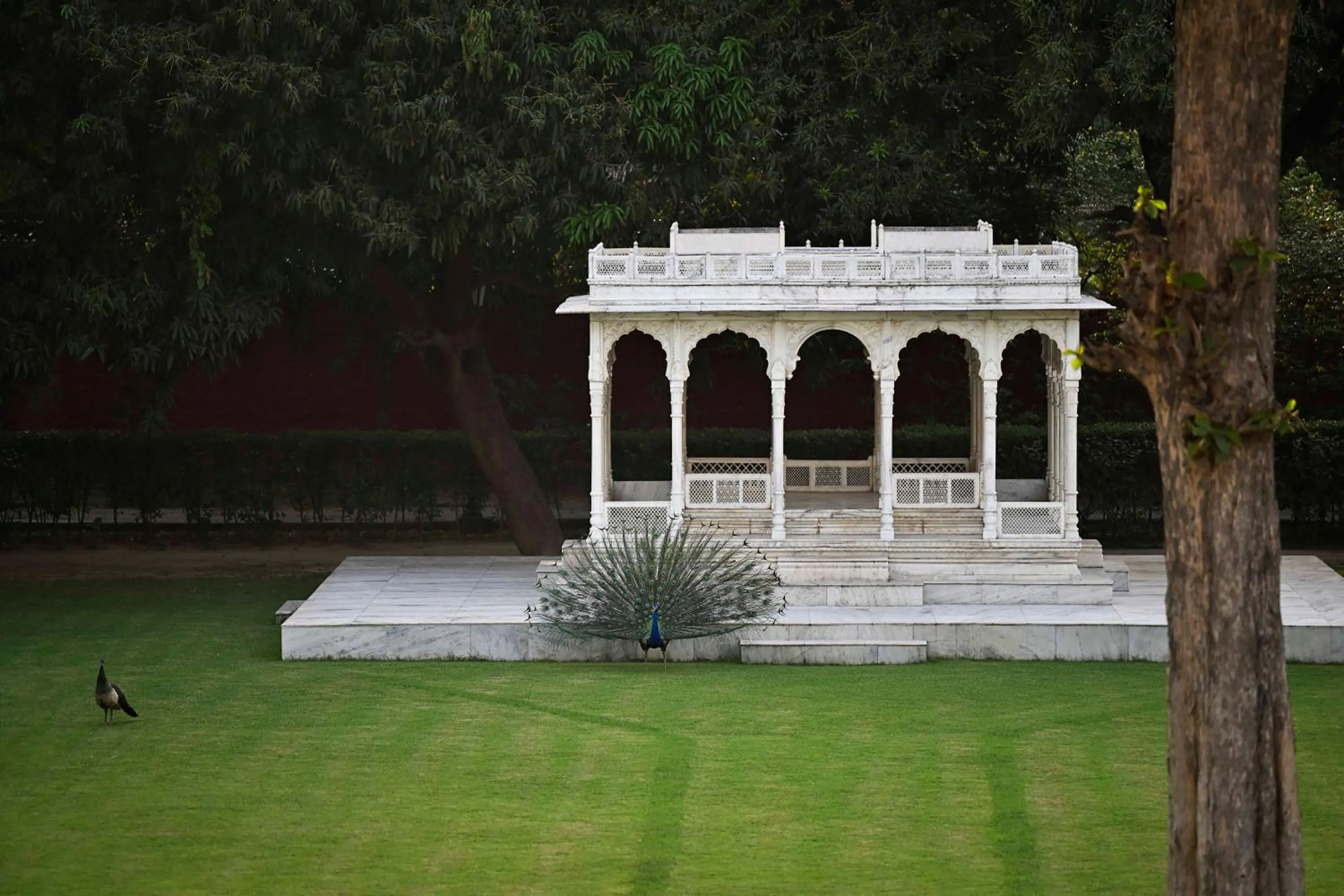 VIP in Taj Nadesar Palace