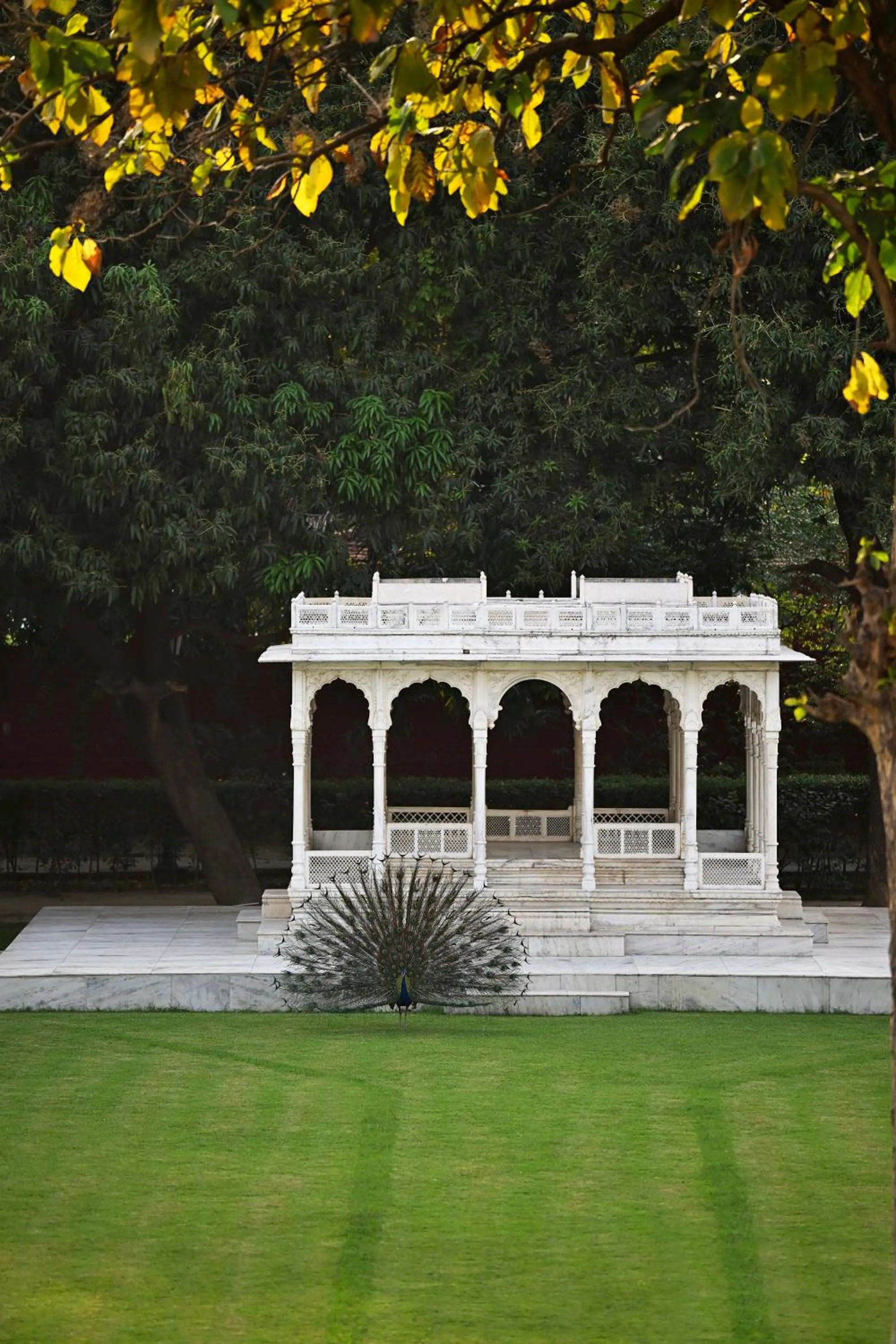 Other in Taj Nadesar Palace