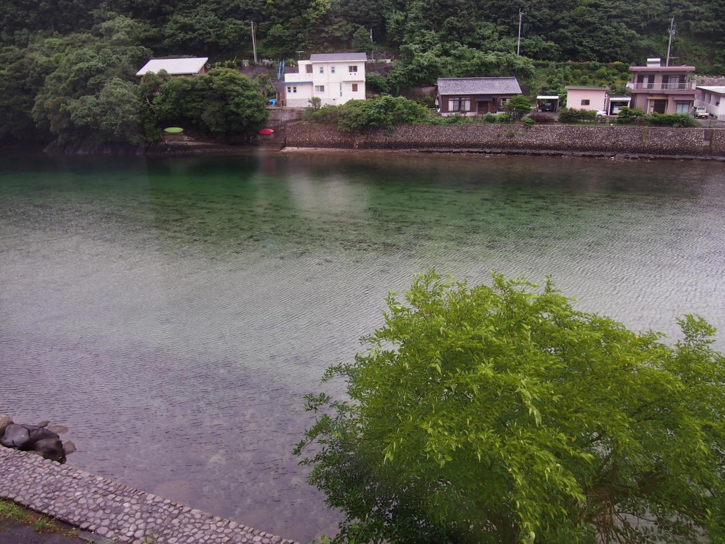 Area and facilities in Tashiro Annex