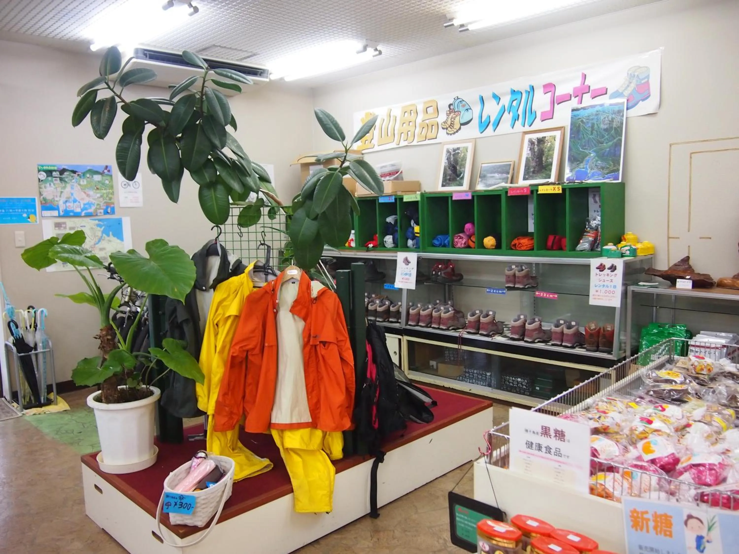 Other in Tashiro Annex