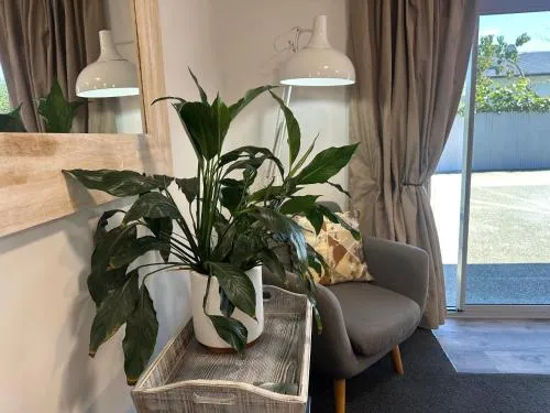 Two Tree Motel & Lodge