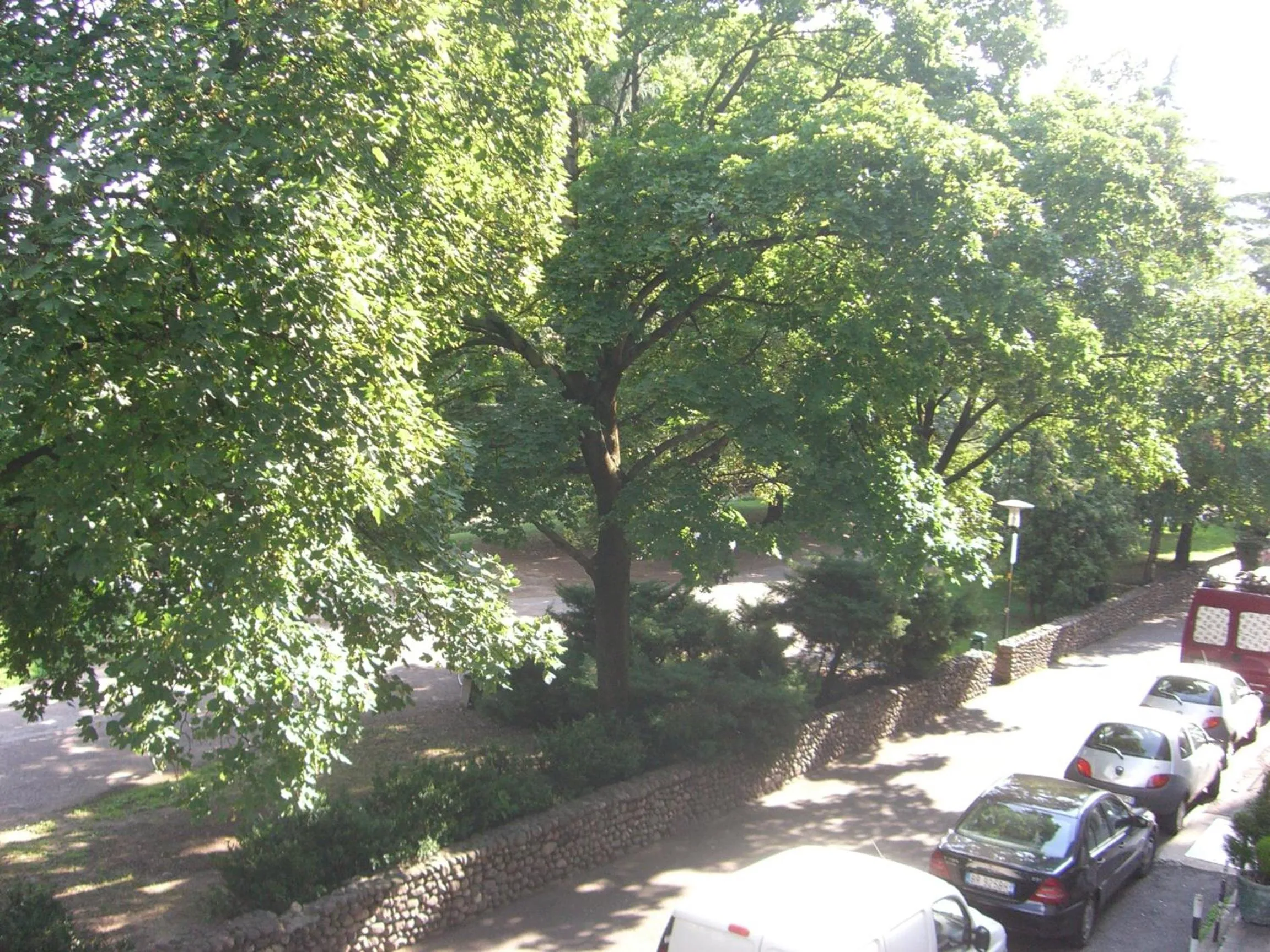 Area and facilities in Hotel Ariston