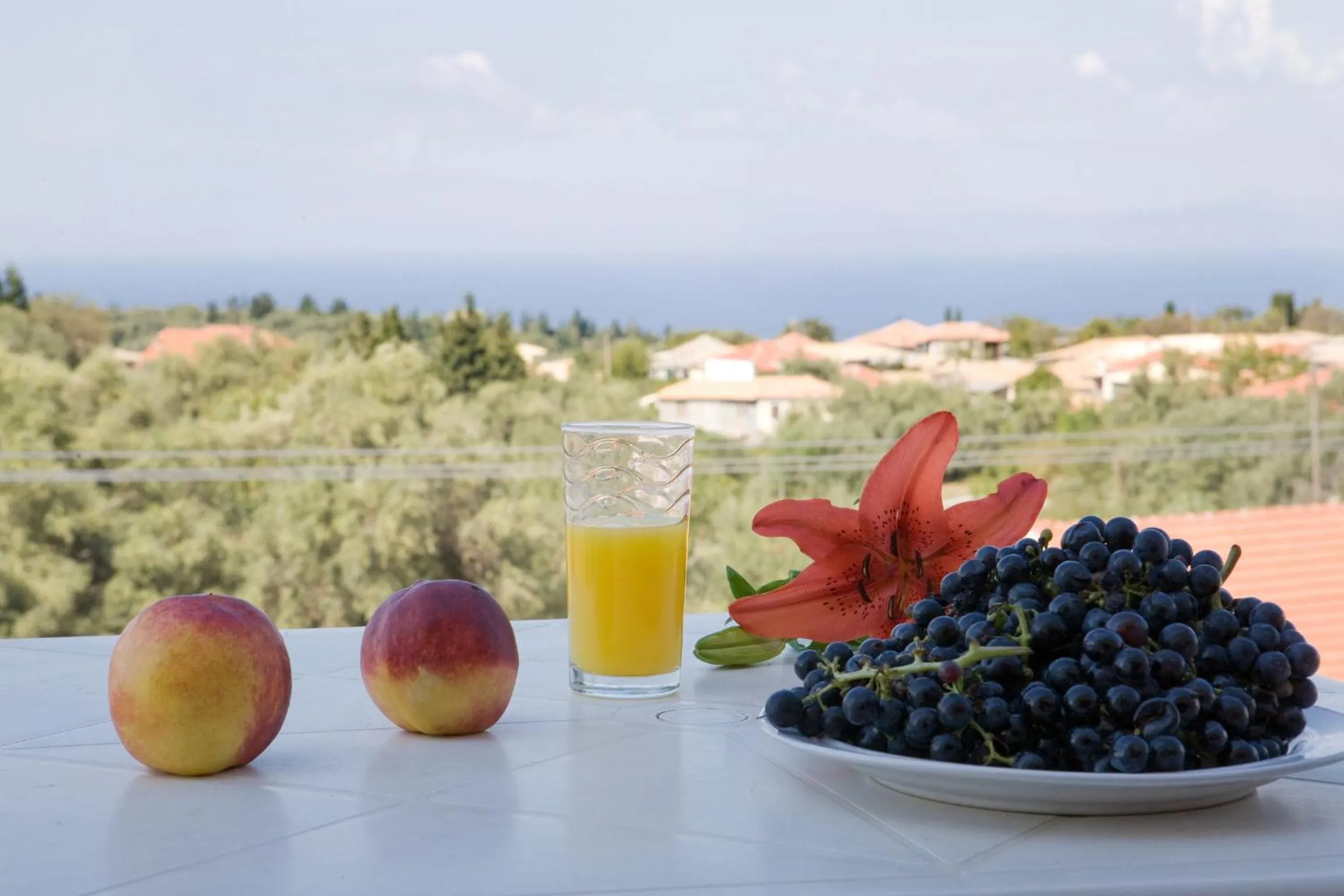 View (from property/room) in Pansion Filoxenia Apartments & Studios