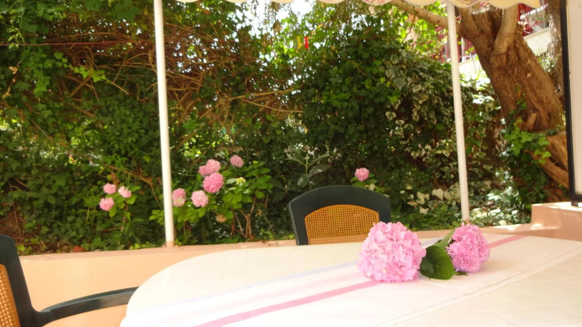 Garden in Pansion Filoxenia Apartments & Studios