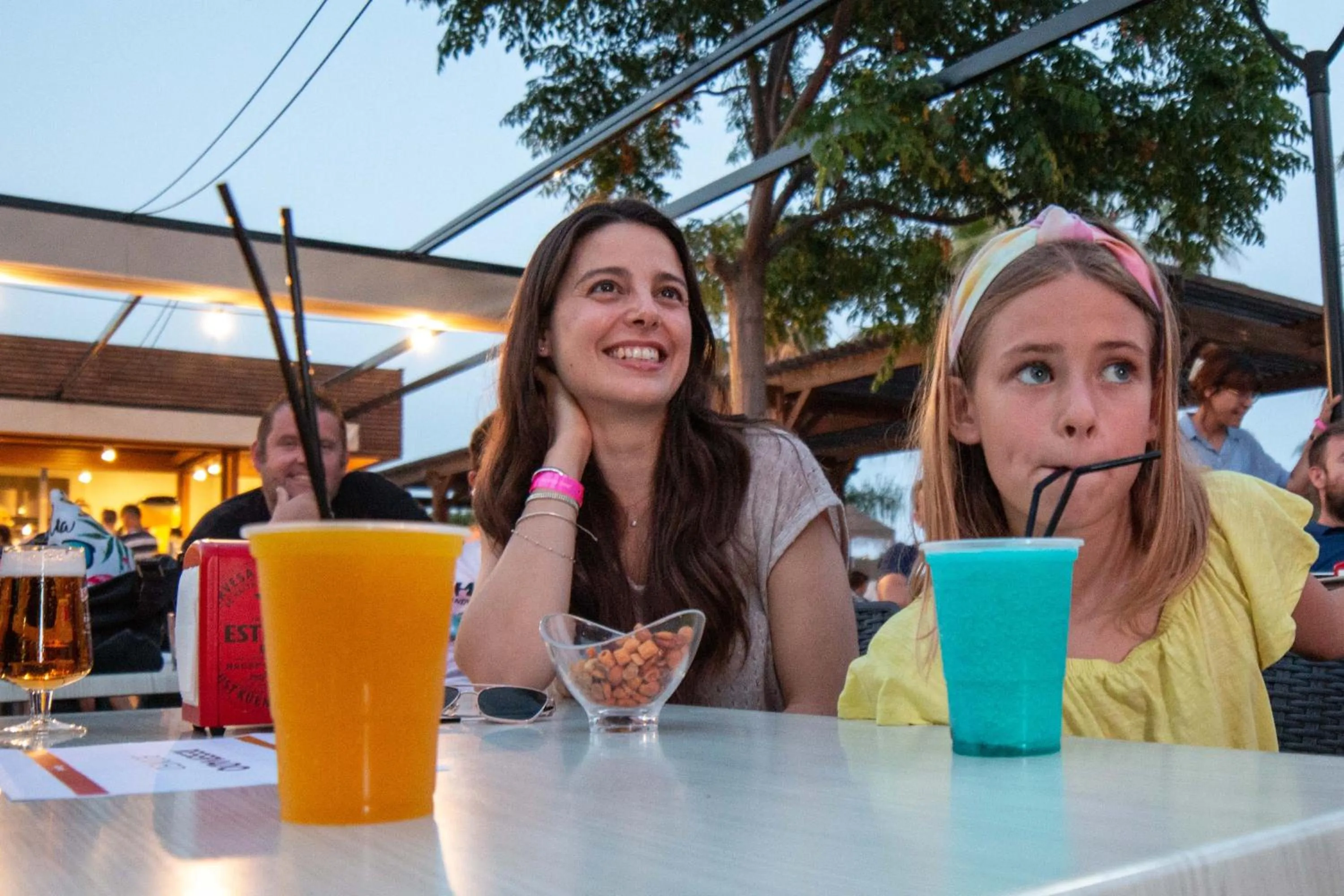 Alcoholic drinks in Alannia Els Prats