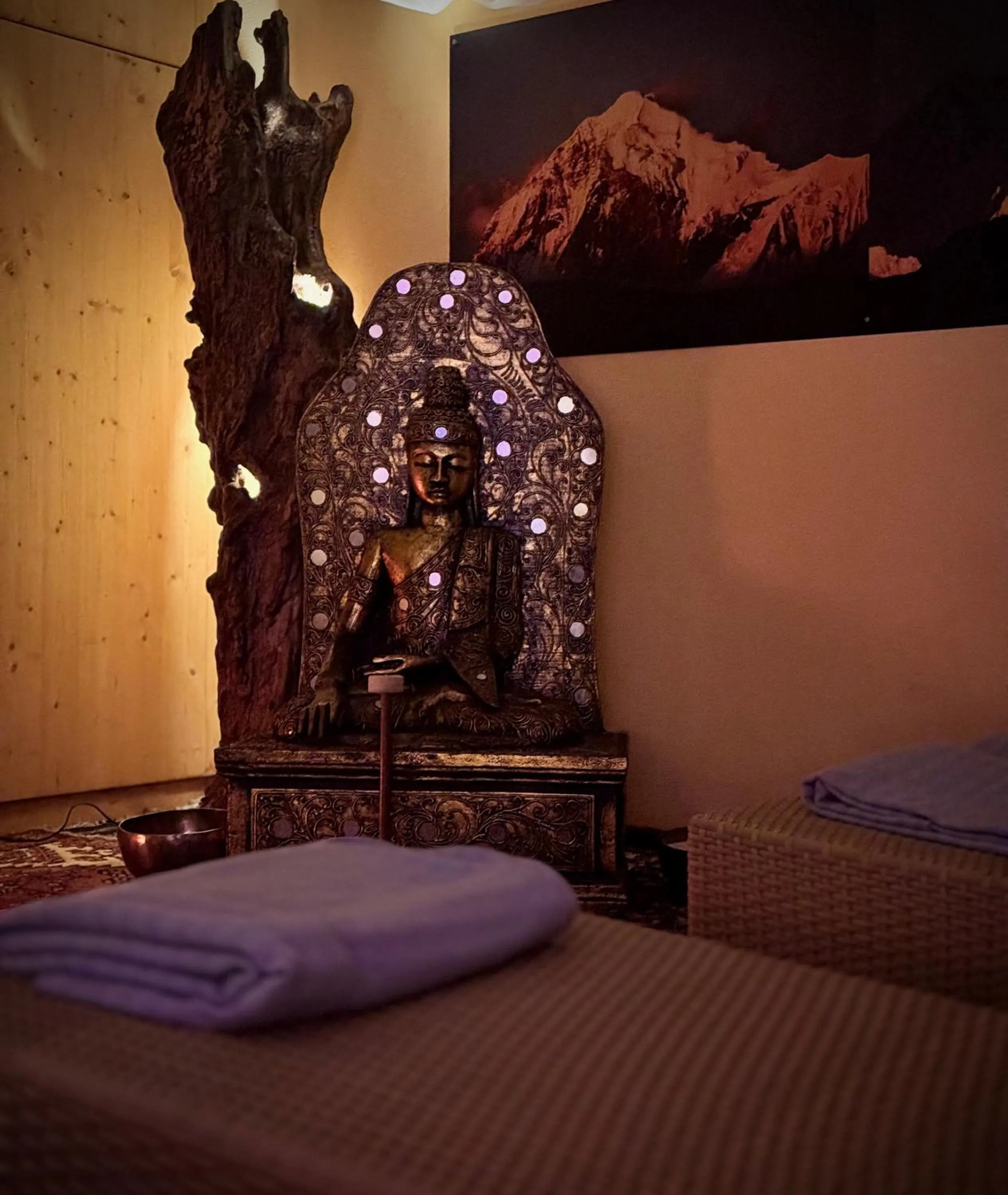 Spa and wellness centre/facilities, Bed in Hotel Caminetto