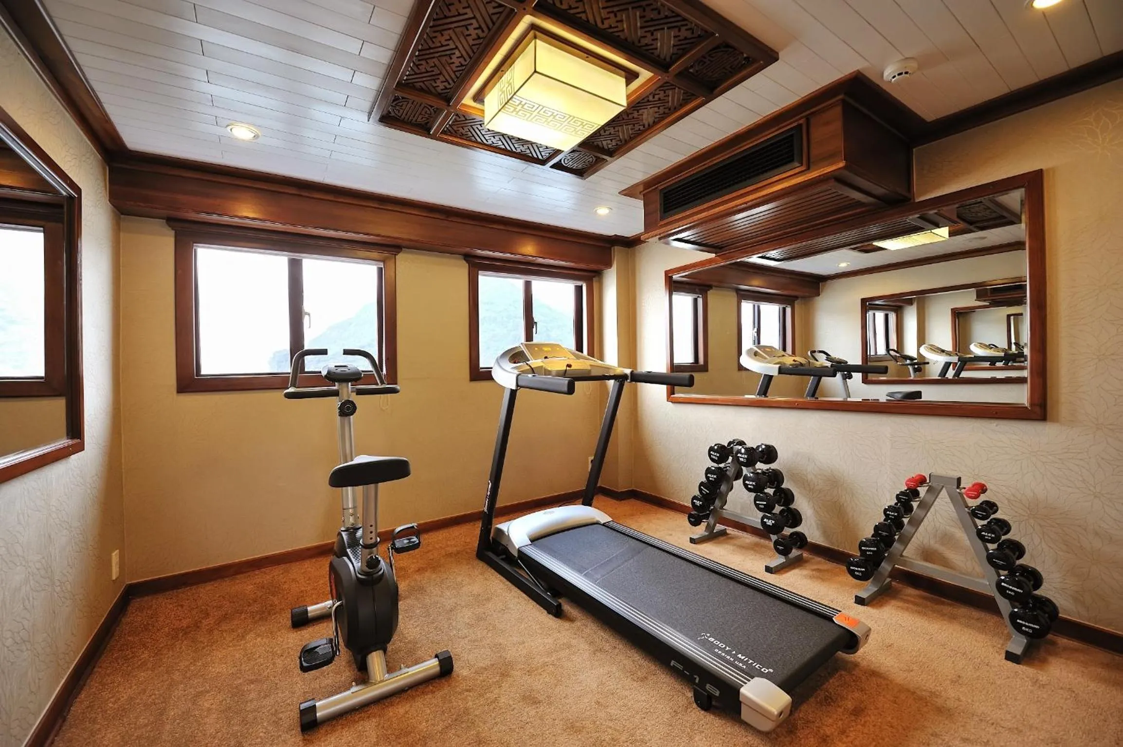 Fitness centre/facilities in Paradise Peak Cruise