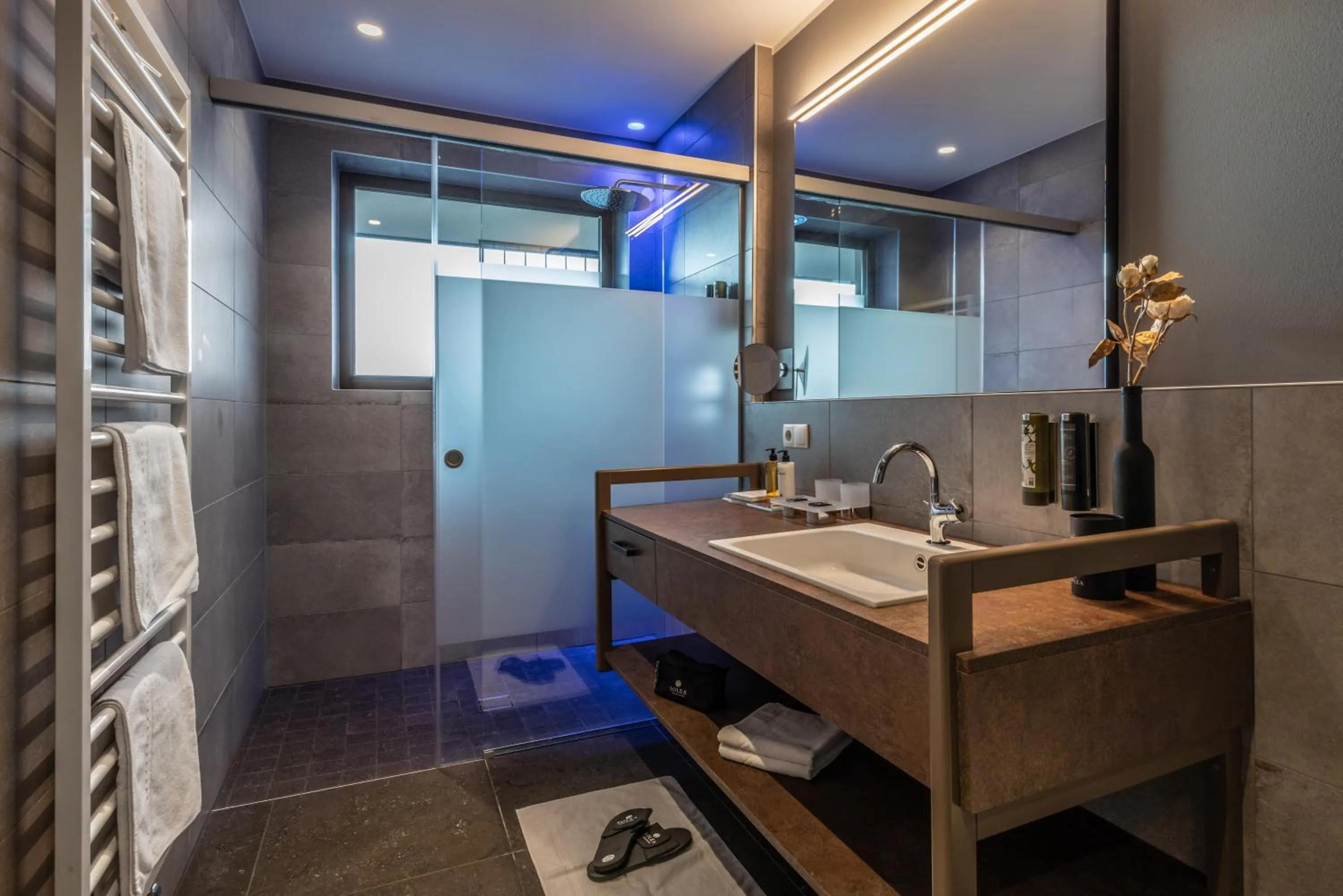 Shower in Hotel Der Weinmesser