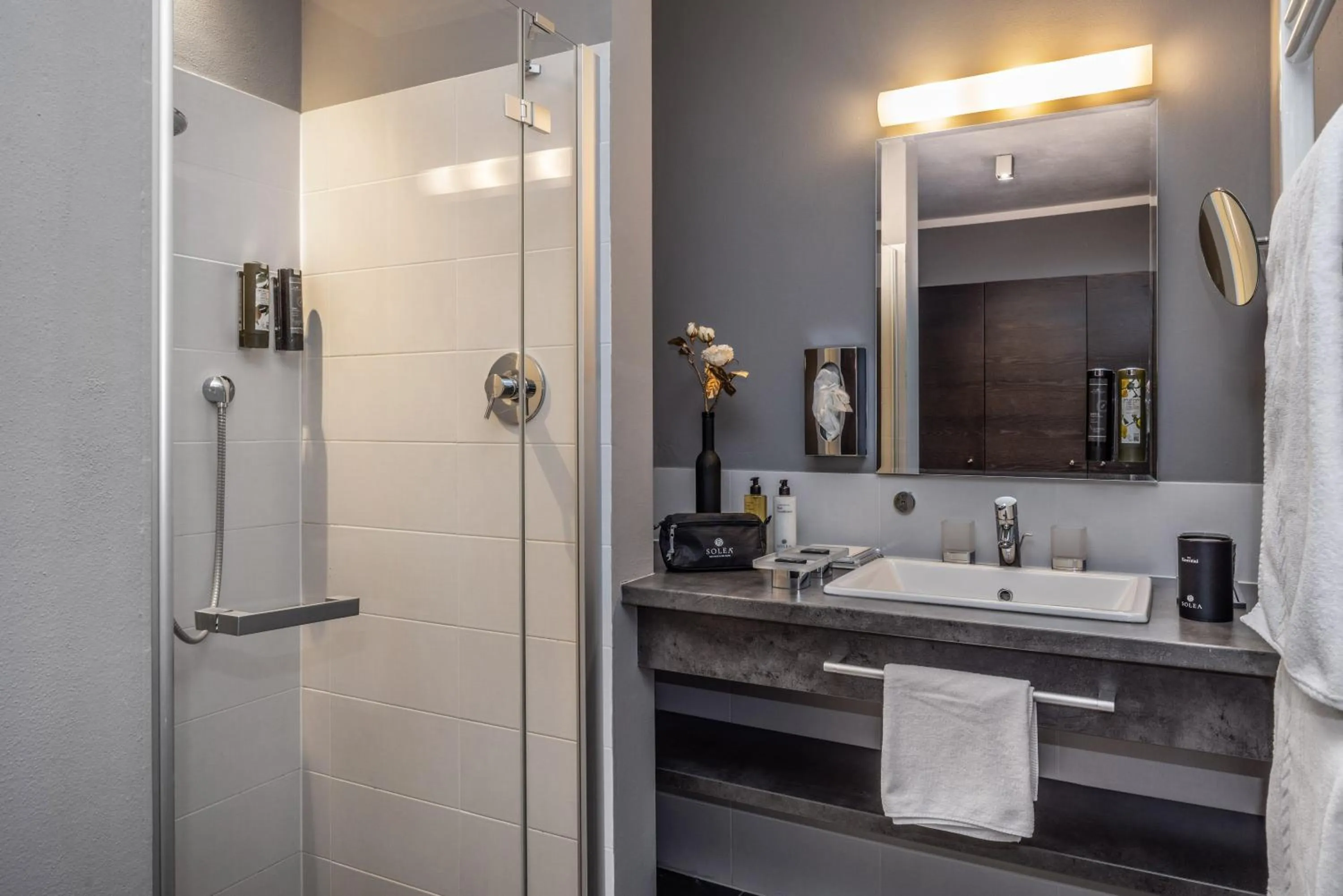 Shower in Hotel Der Weinmesser