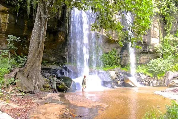 Natural landscape in Tradewinds Lodge
