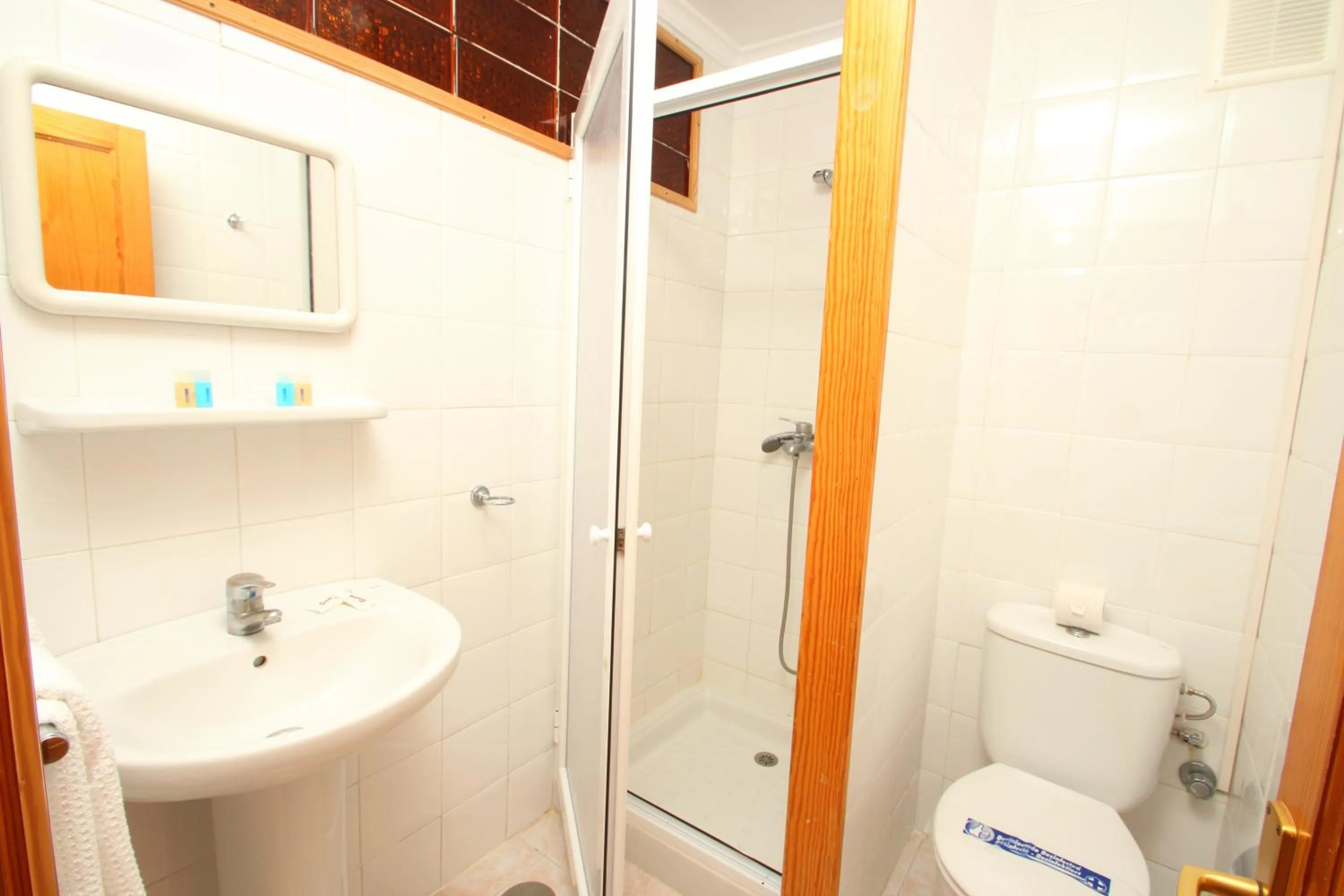 Shower in Apartamentos Strelitzias